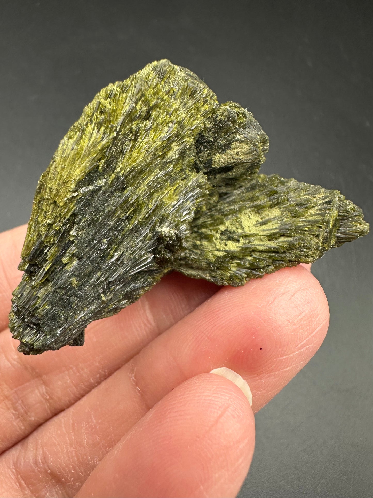 Epidote Fan
