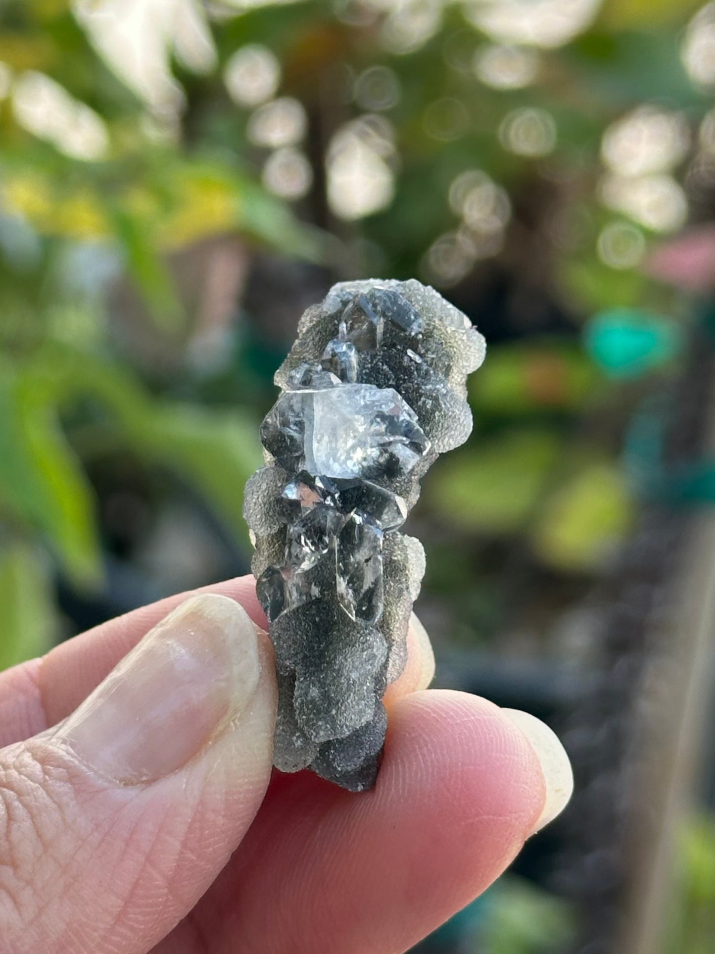 Black Chalcedony with Apophyllite