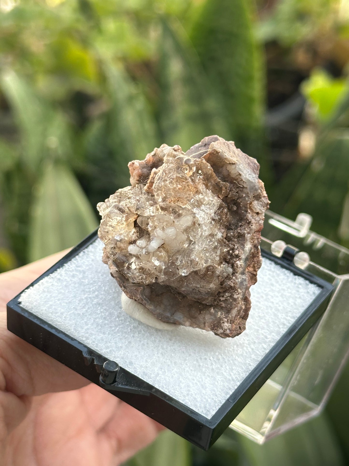 Hyalite Opal from Mexico