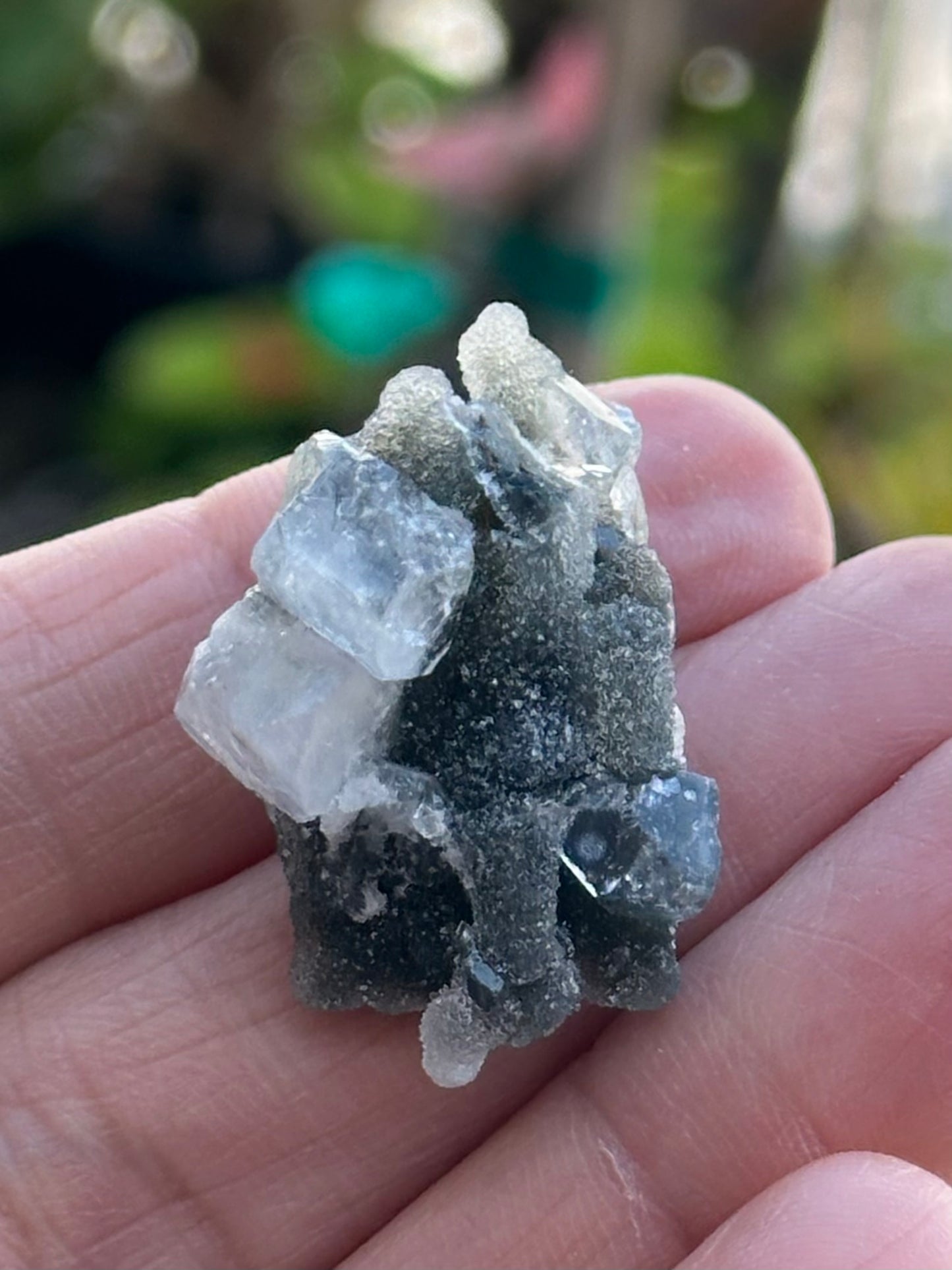 Black Chalcedony with Apophyllite
