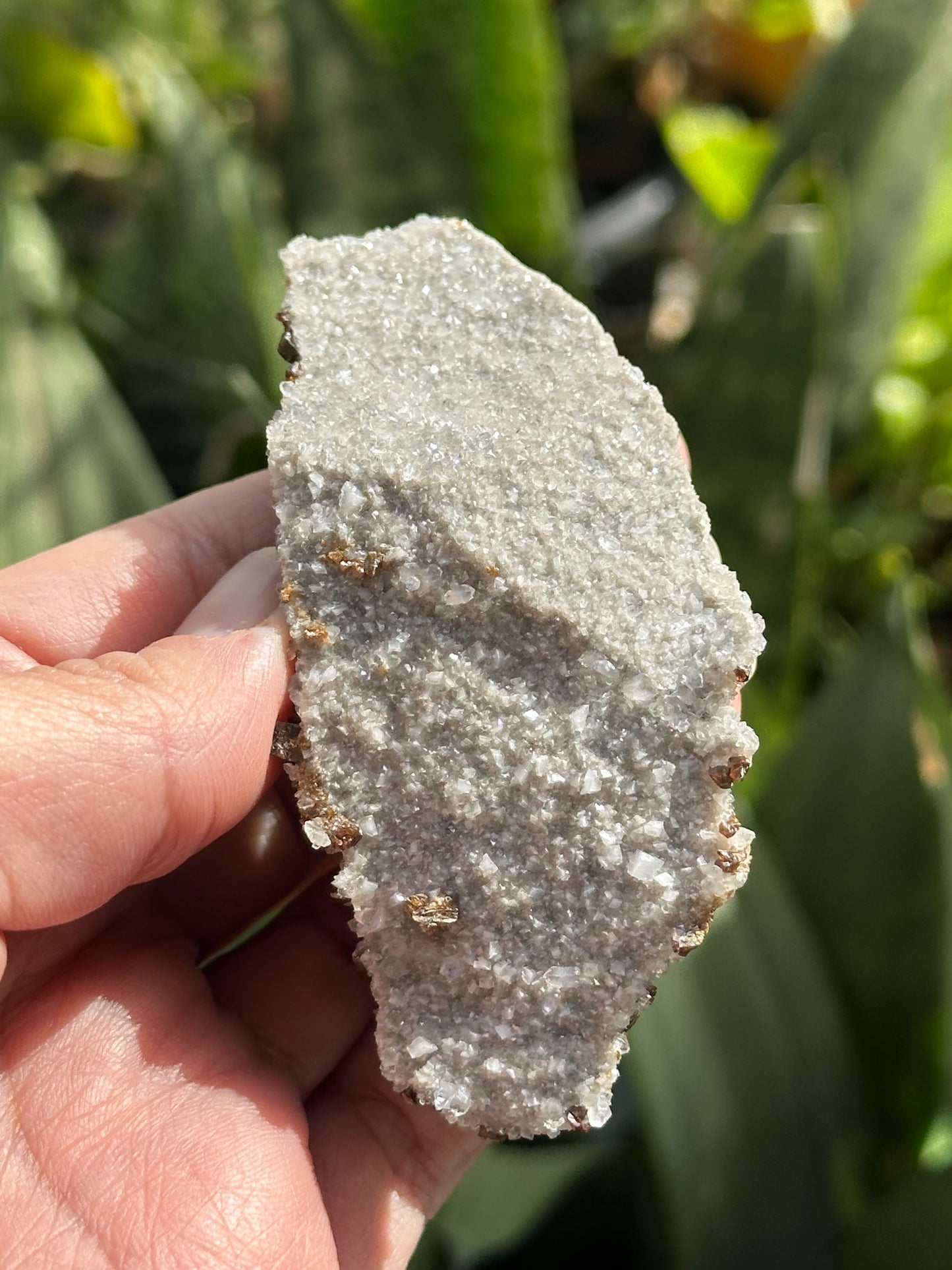 Calcite with Sphalerite and Dolomite from the Elmwood Mine