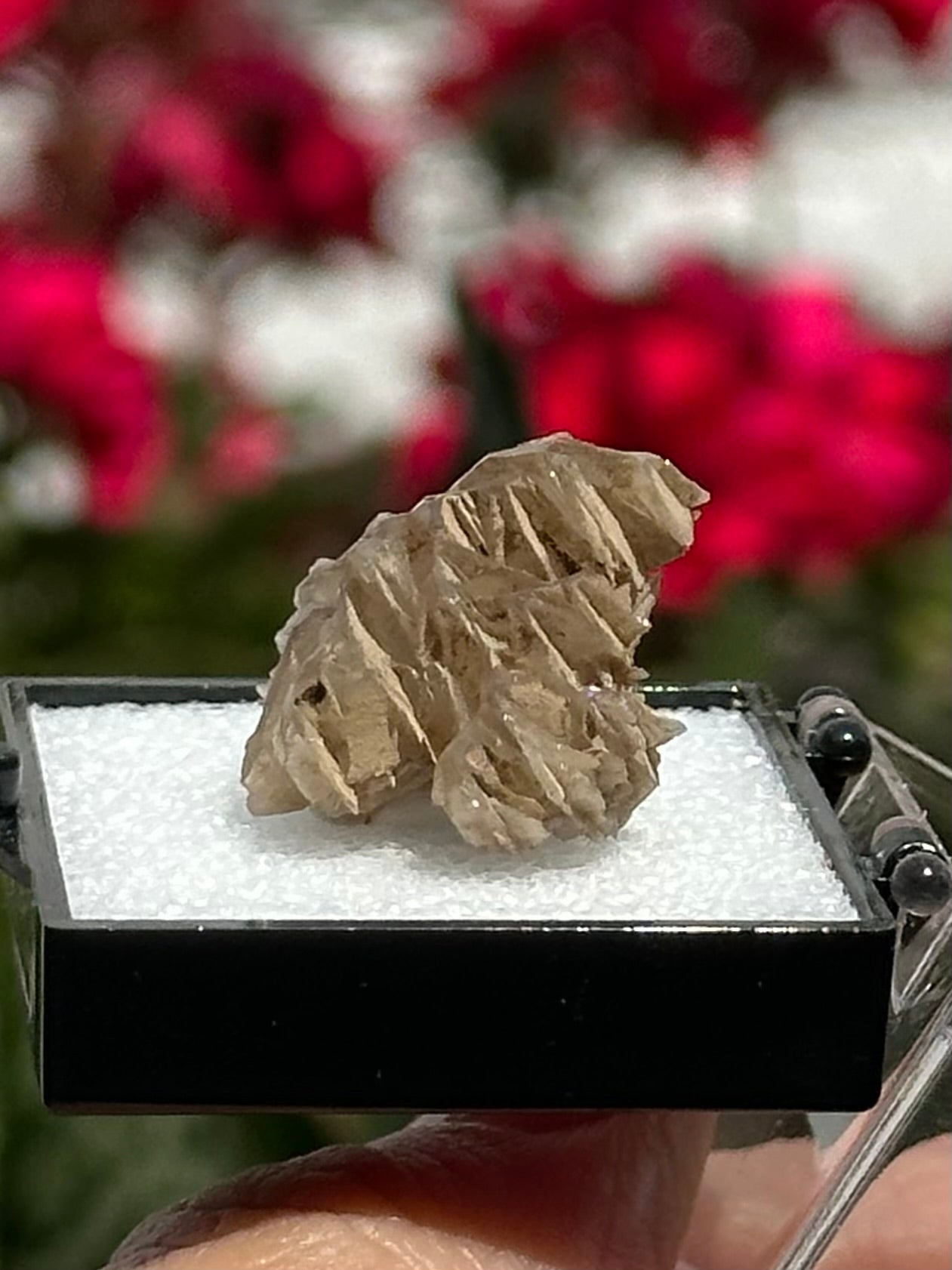 Cerussite