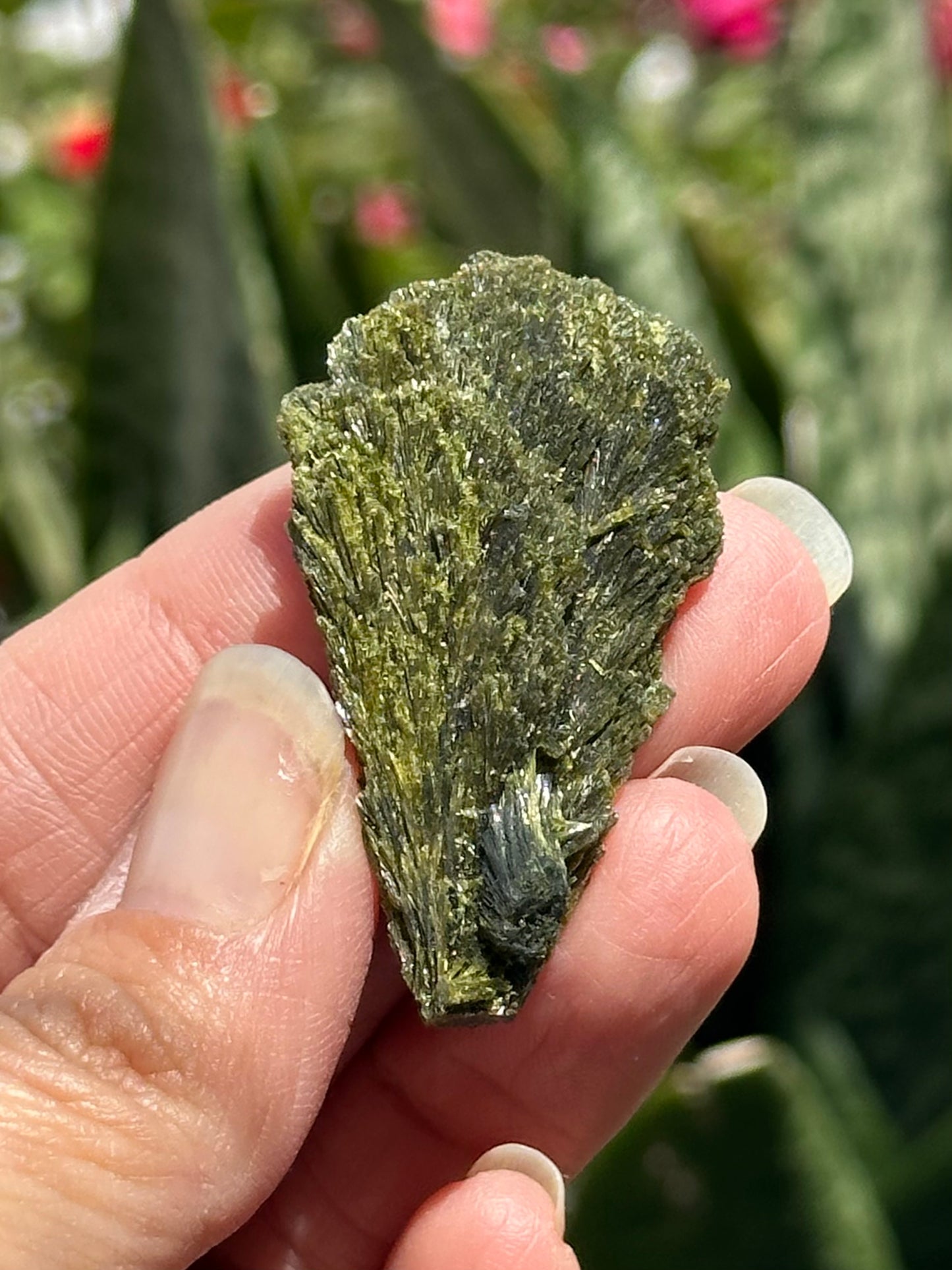Epidote Fan
