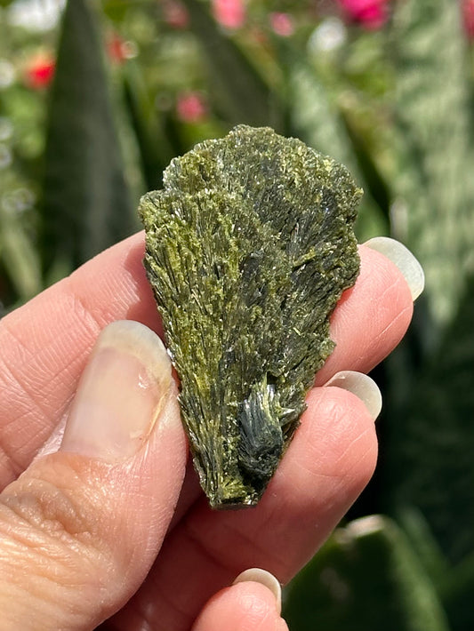 Epidote Fan