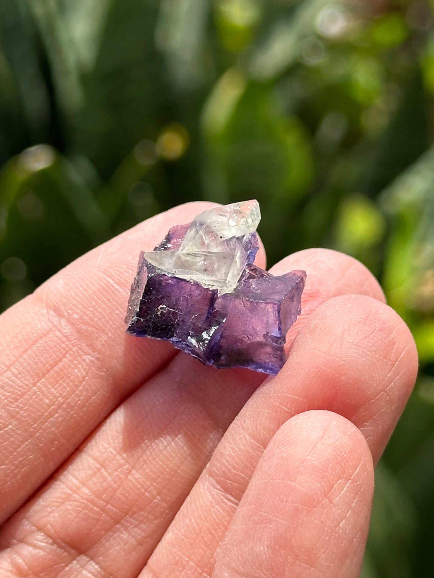 Fluorite with Calcite from the Elmwood Mine