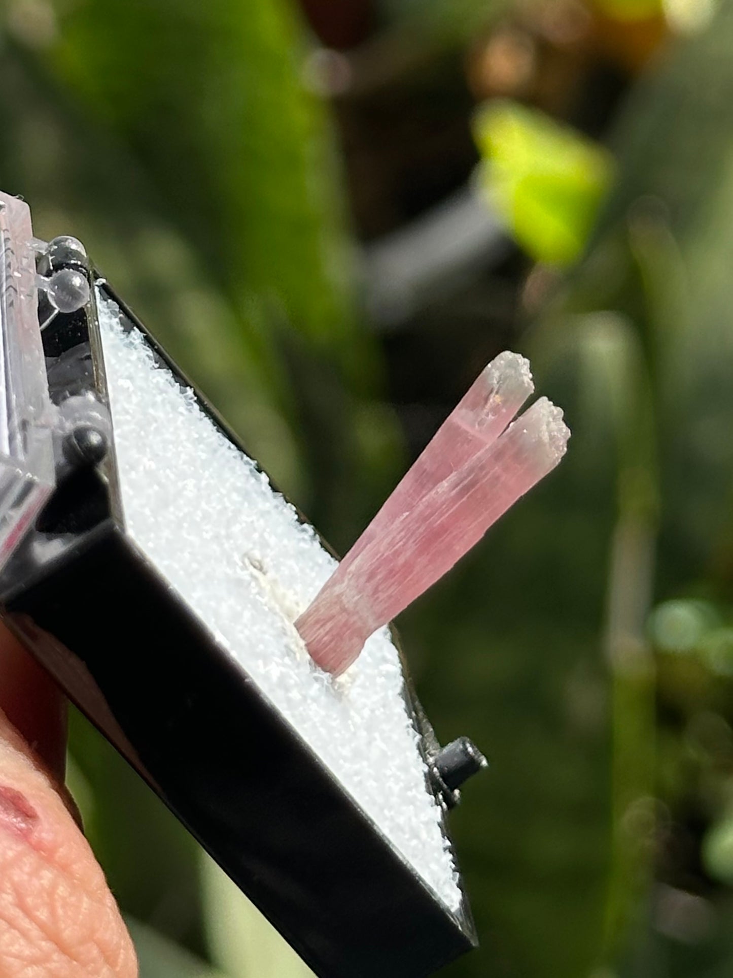 Tourmaline Specimen from Kunar Valley