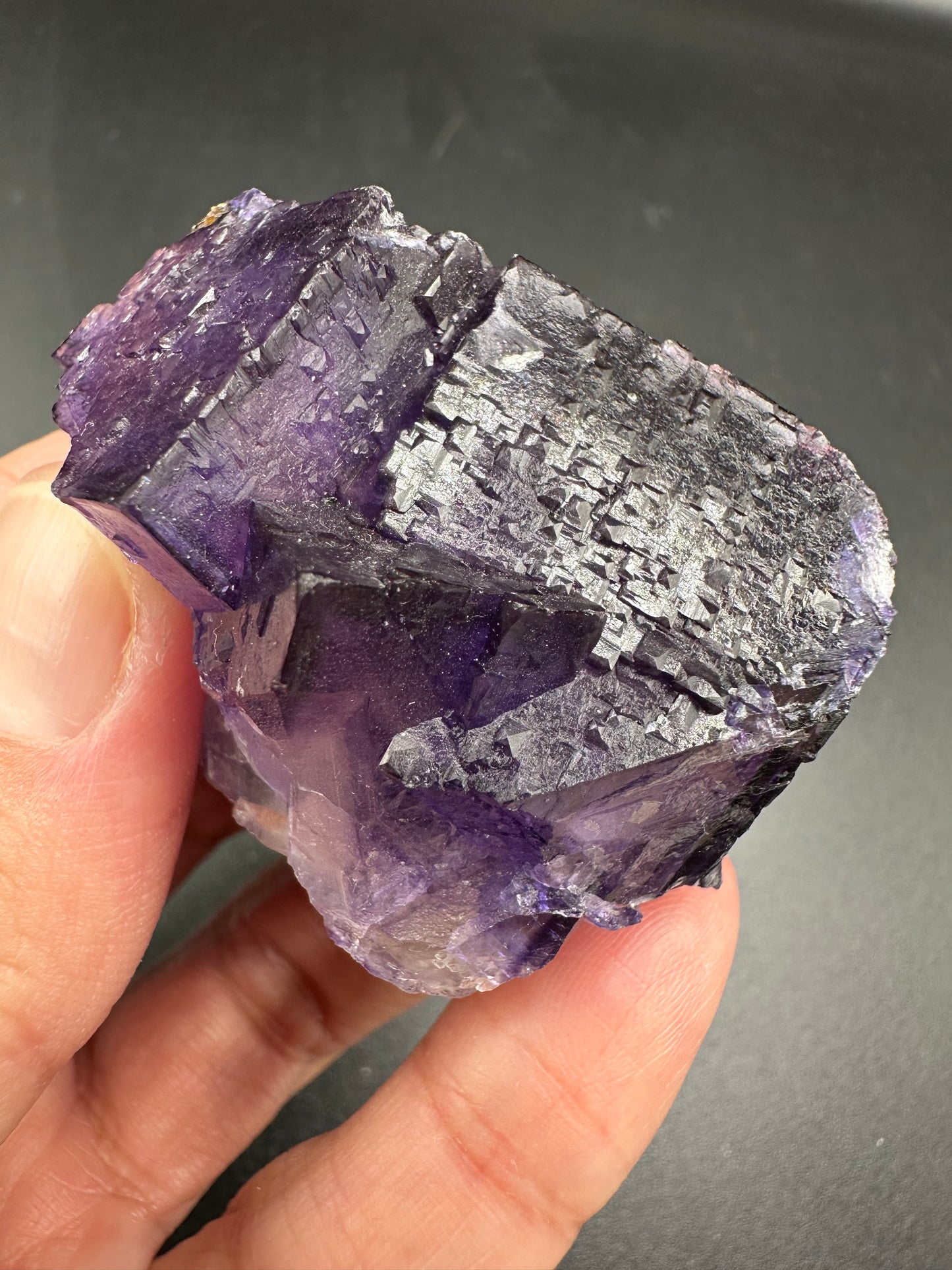 Fluorite with Sphalerite Specimen from the Elmwood Mine