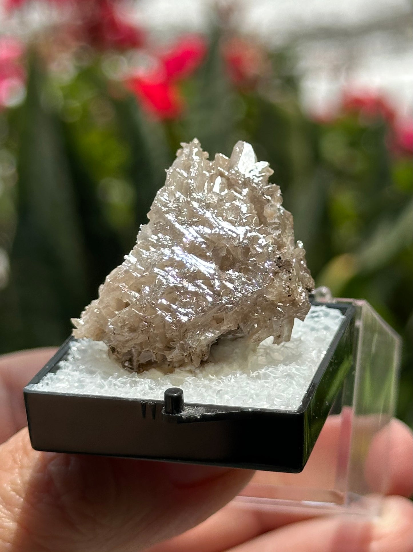 Cerussite