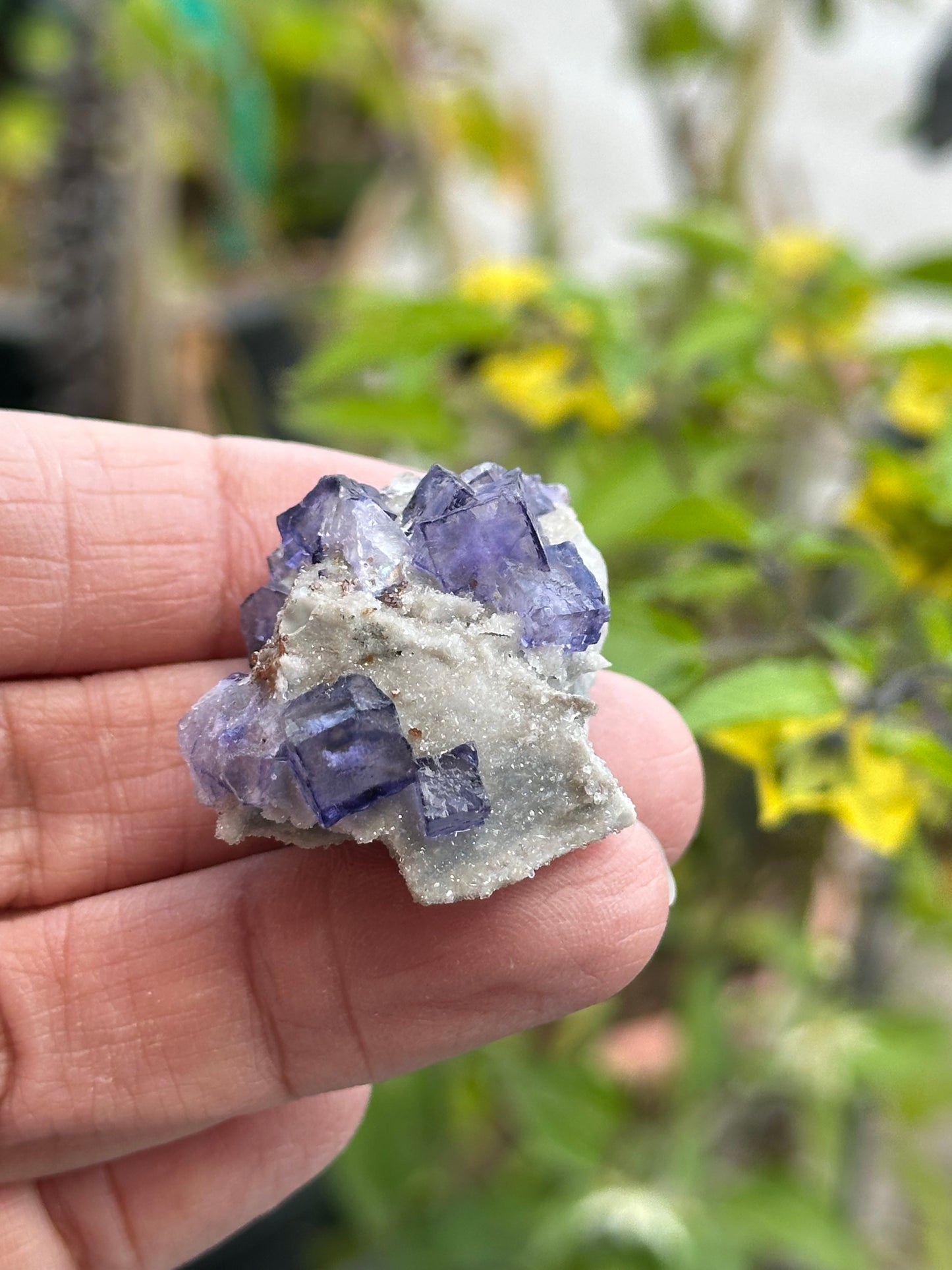 Elmwood Fluorite