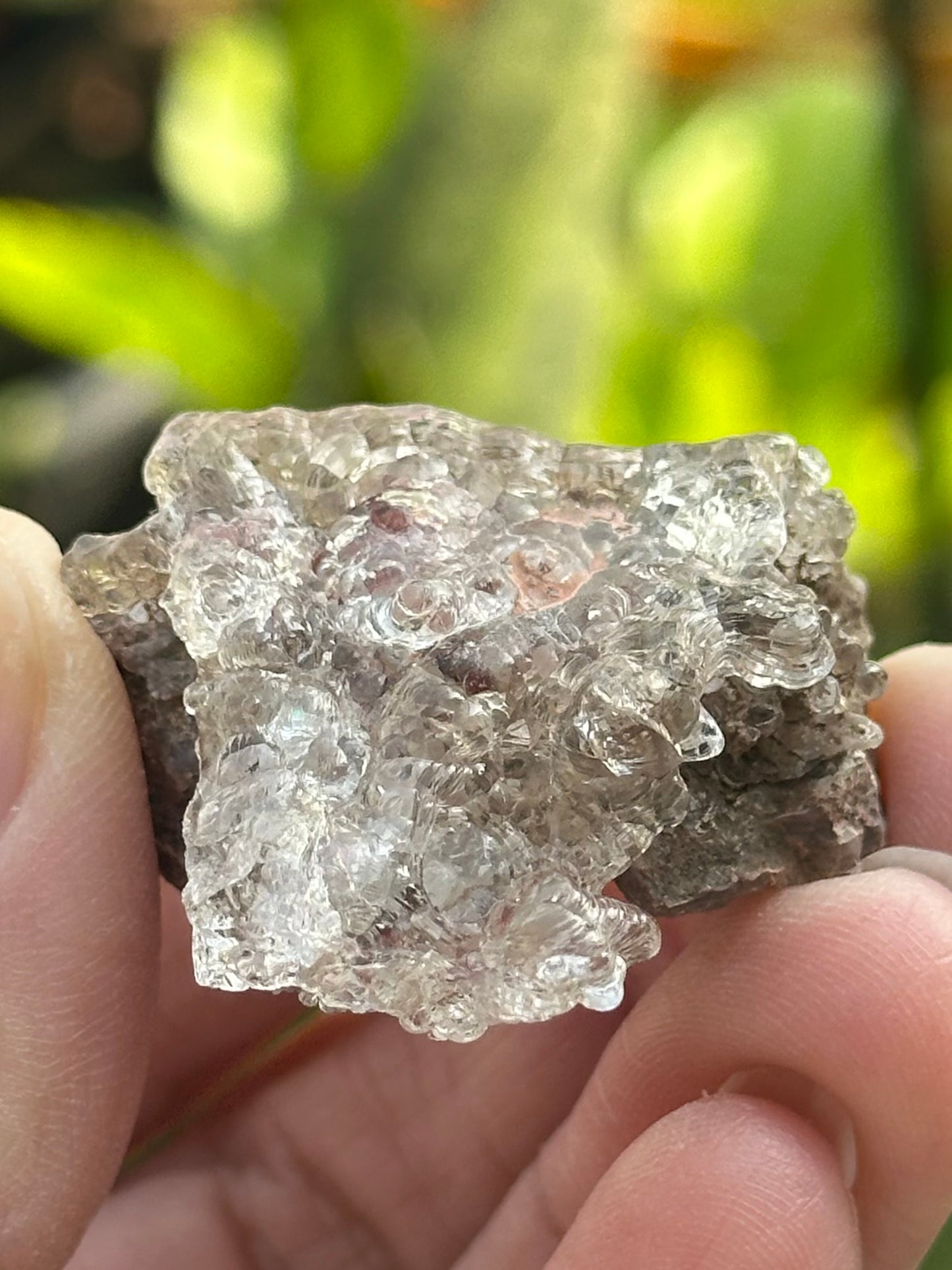 Hyalite Opal from Mexico