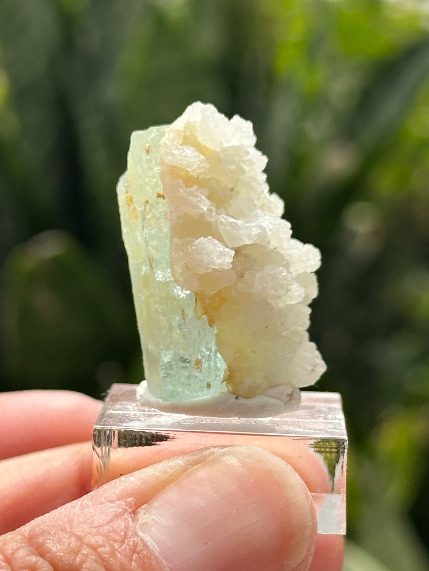 Aquamarine Specimen from Shigar Valley