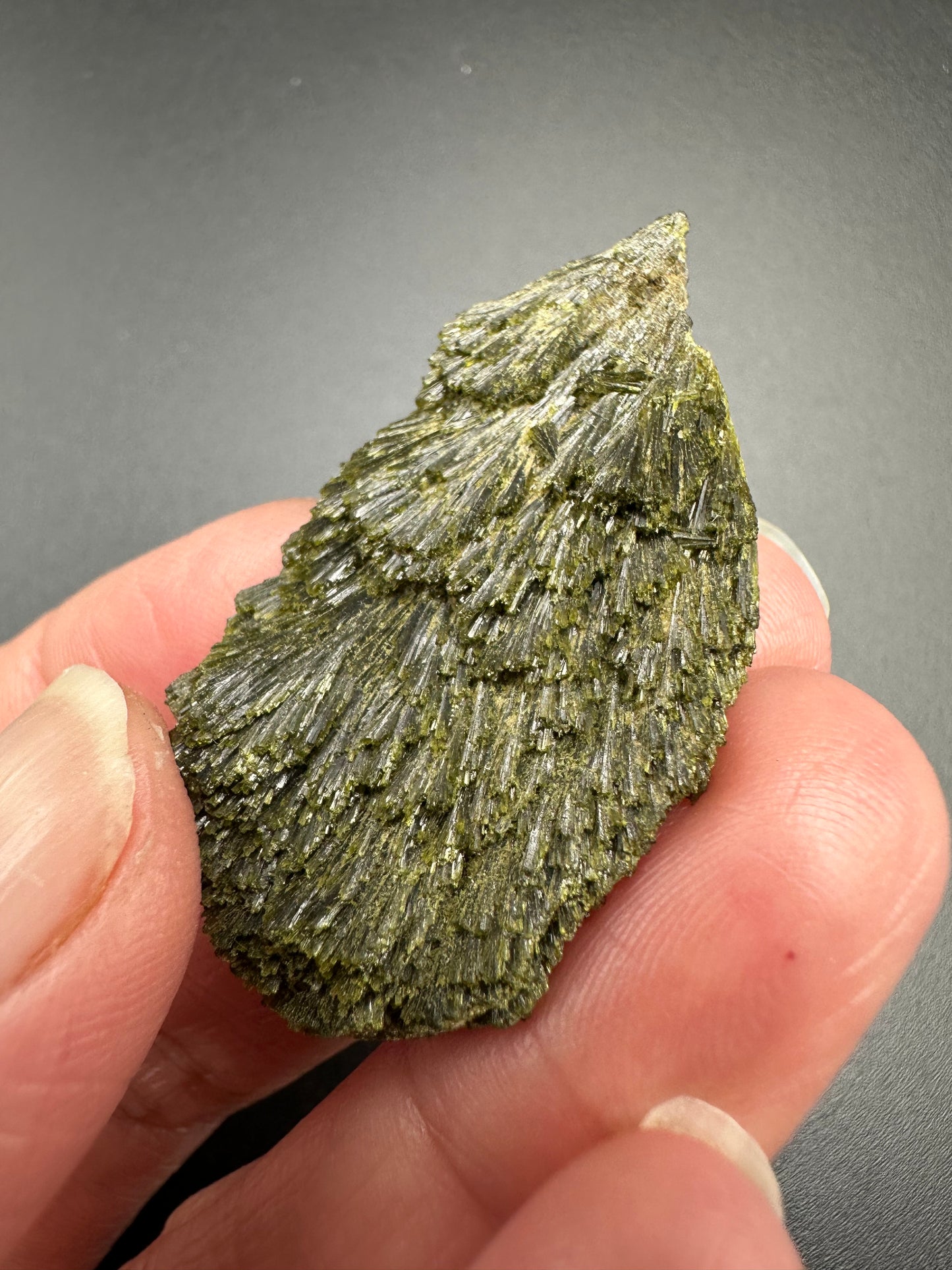 Epidote Fan