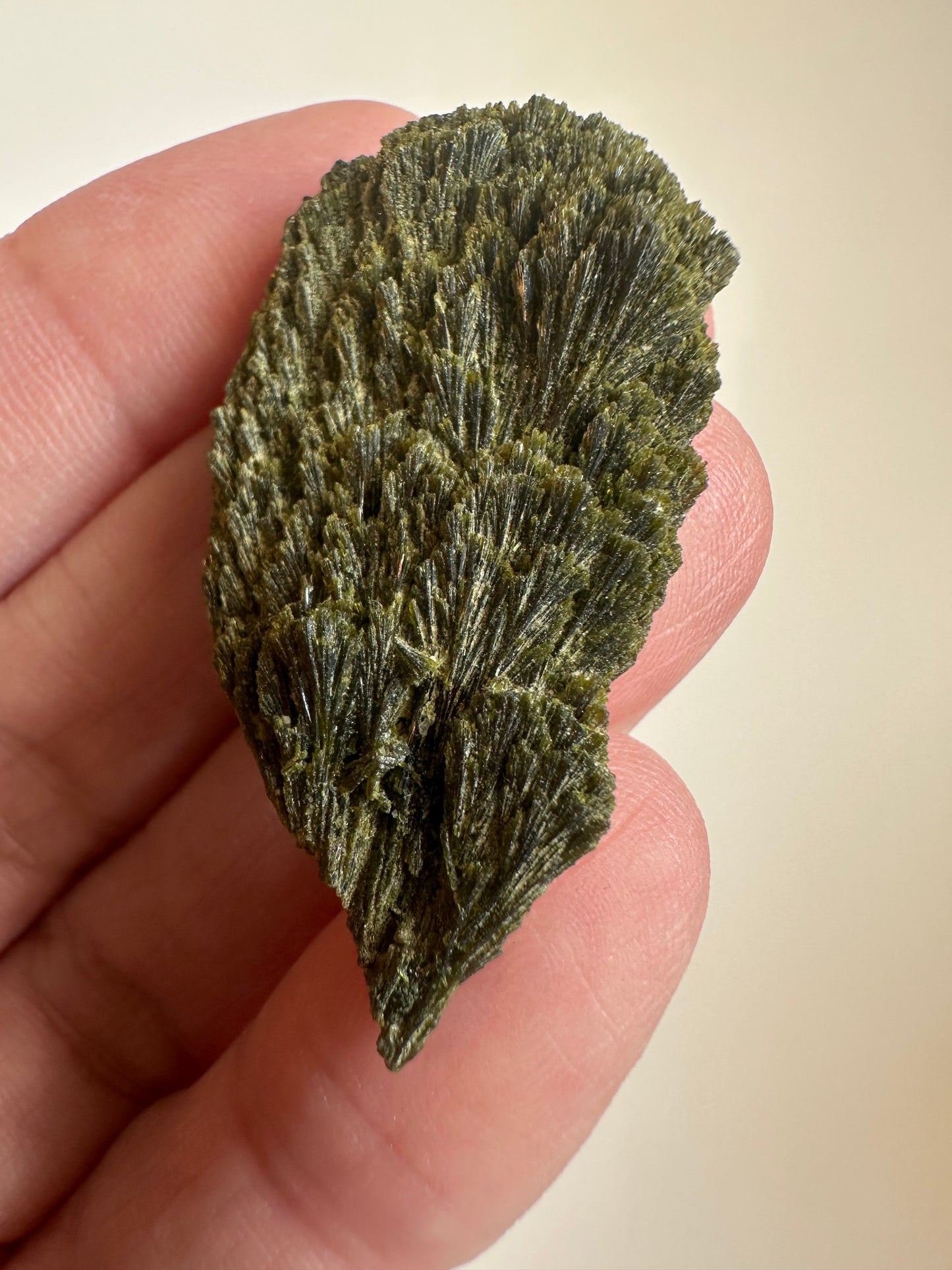 Epidote Fan