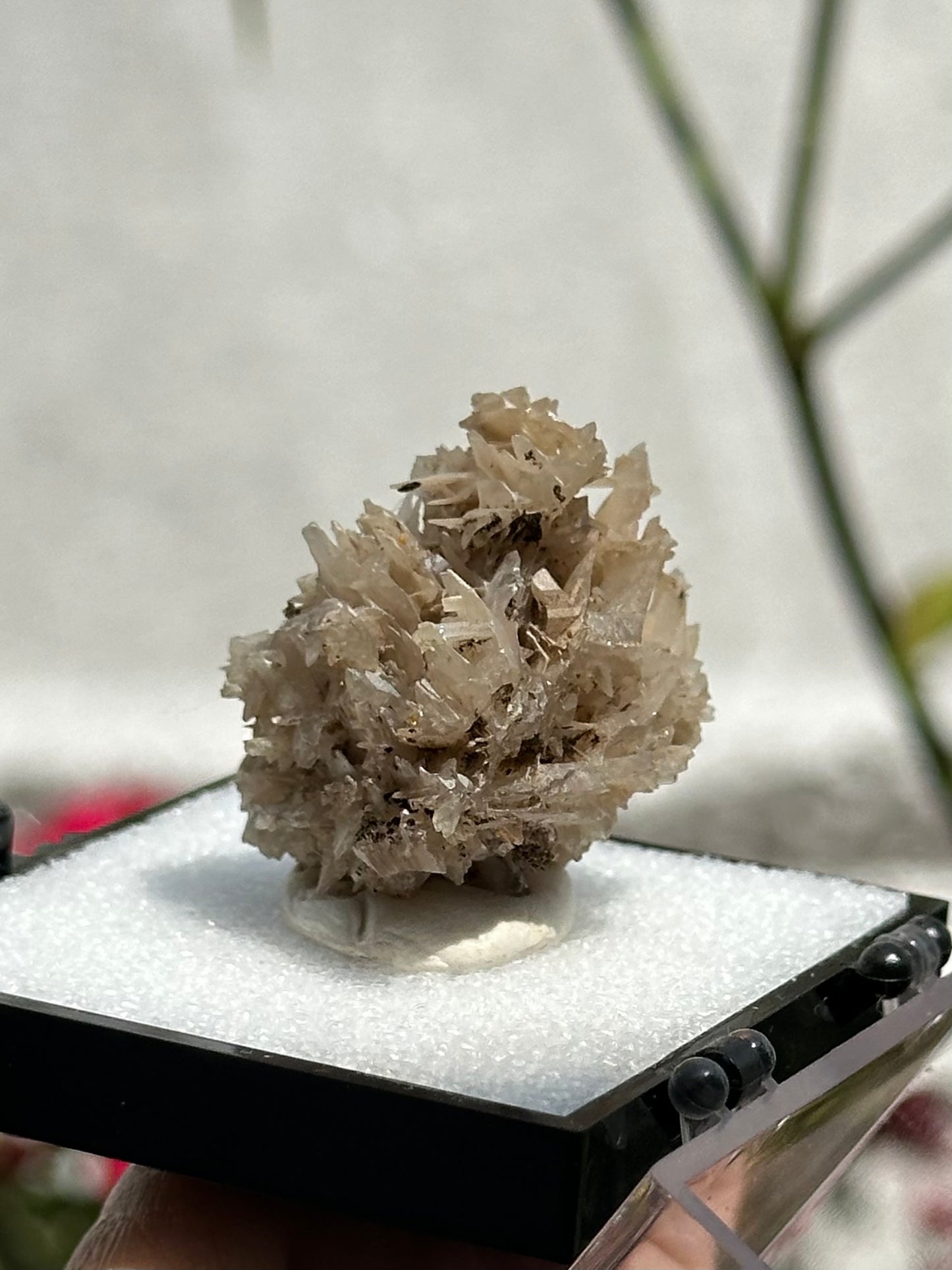 Cerussite