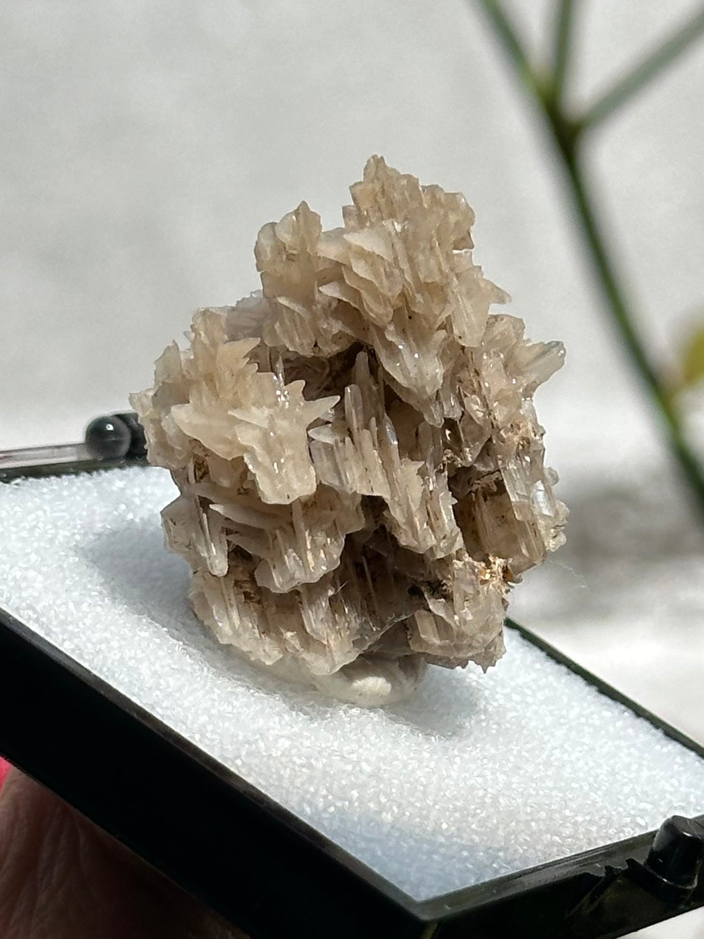 Cerussite