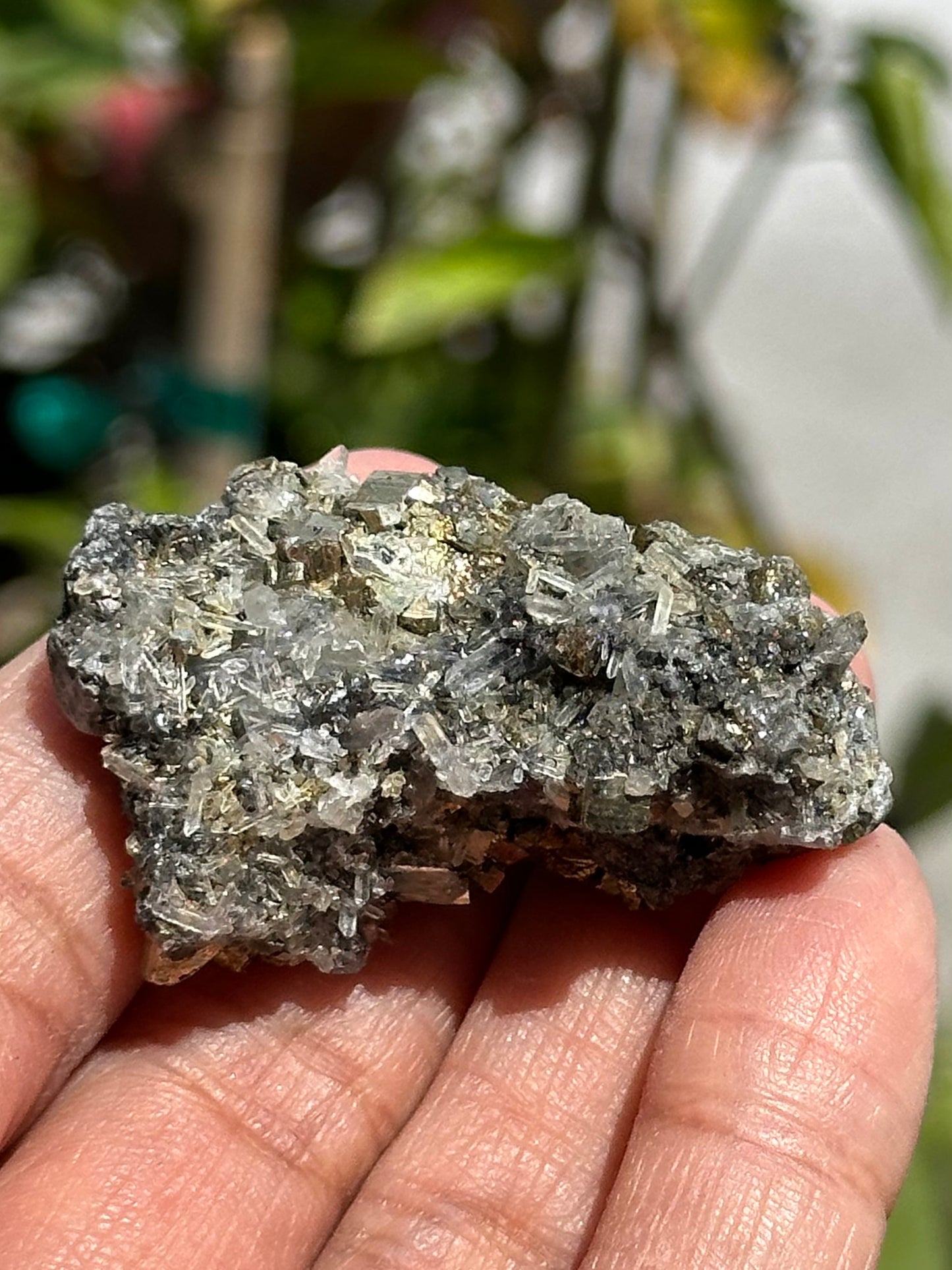 Pyrite and Quartz