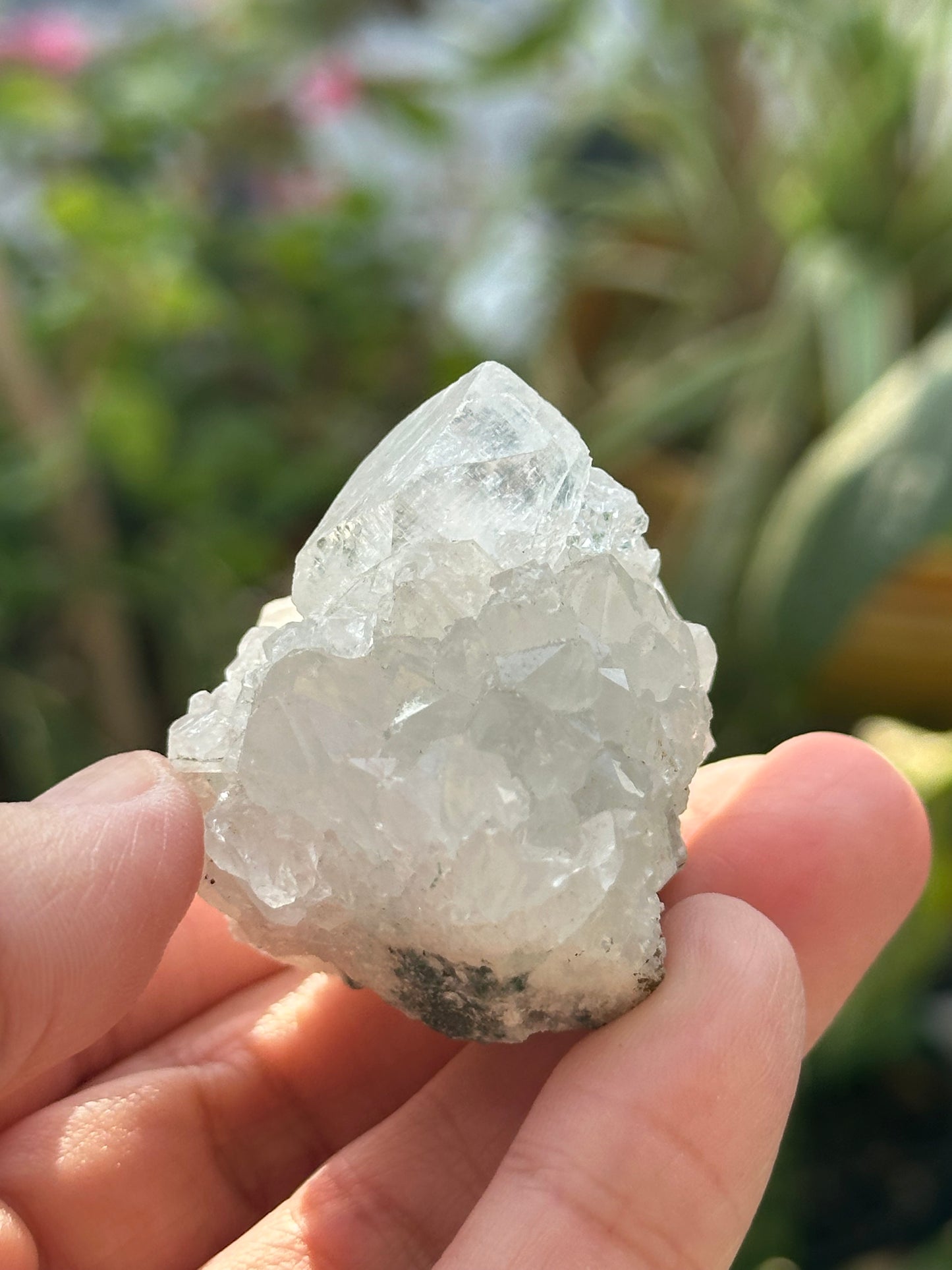Apophyllite Crystal