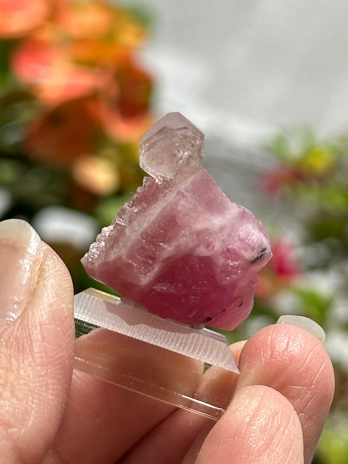 Calcite on Cobaltoan Calcite