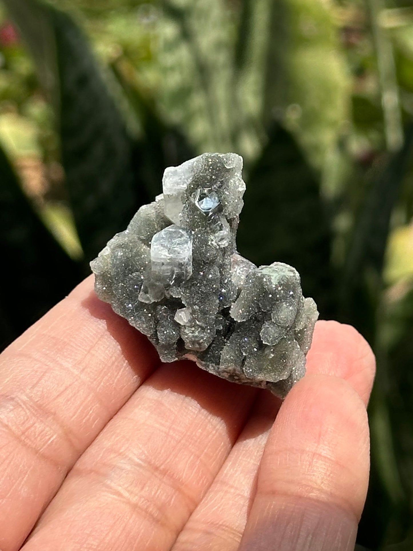 Black Chalcedony with Apophyllite