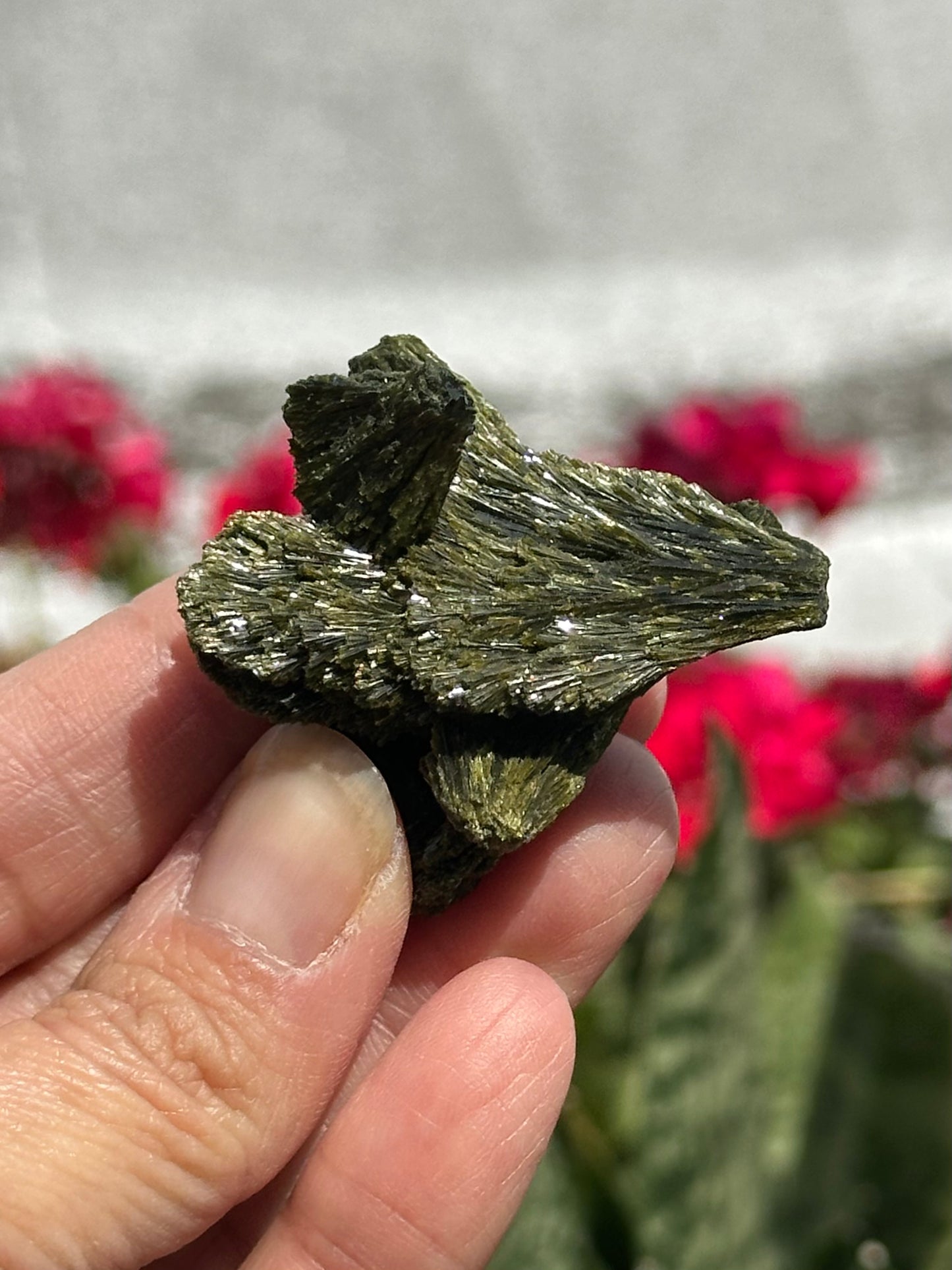 Epidote Fan