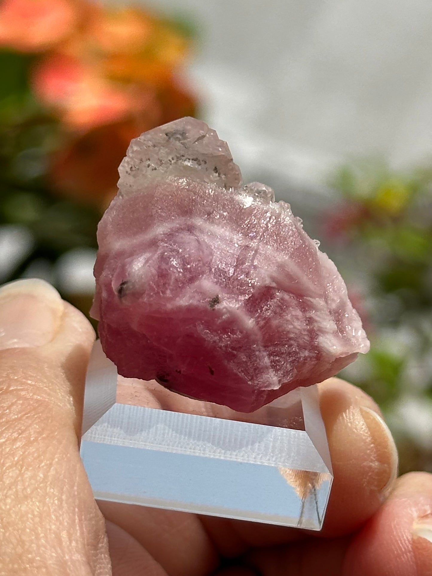 Calcite on Cobaltoan Calcite