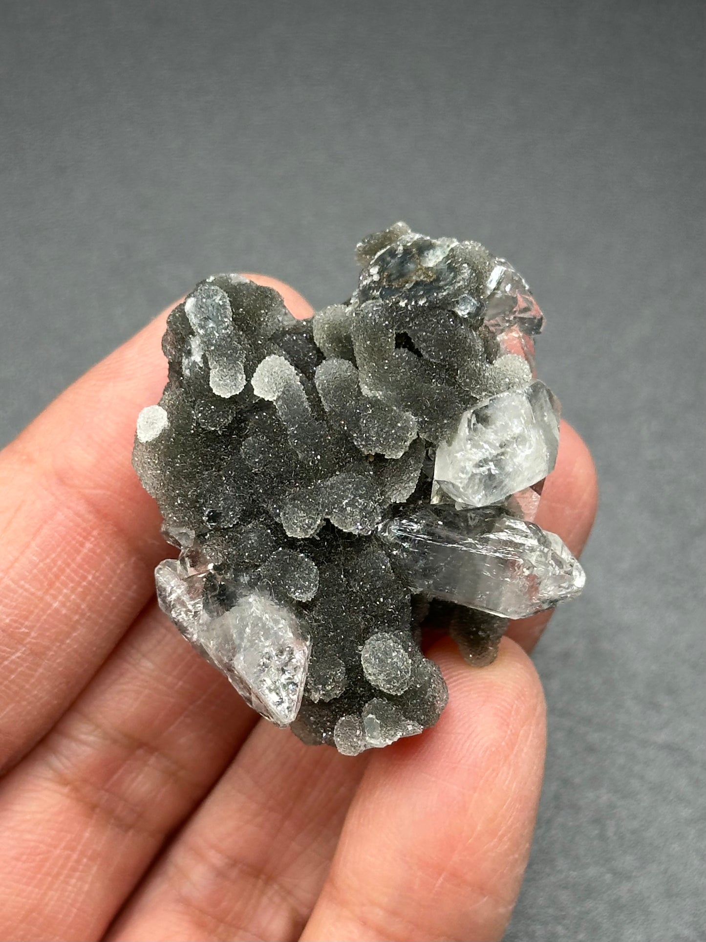 Black Chalcedony with Apophyllite