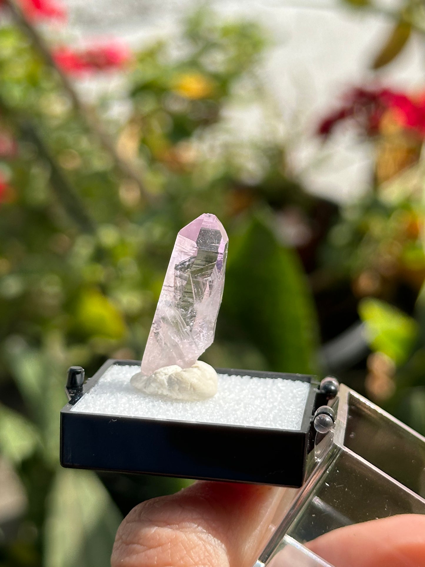 Veracruz Amethyst Crystal
