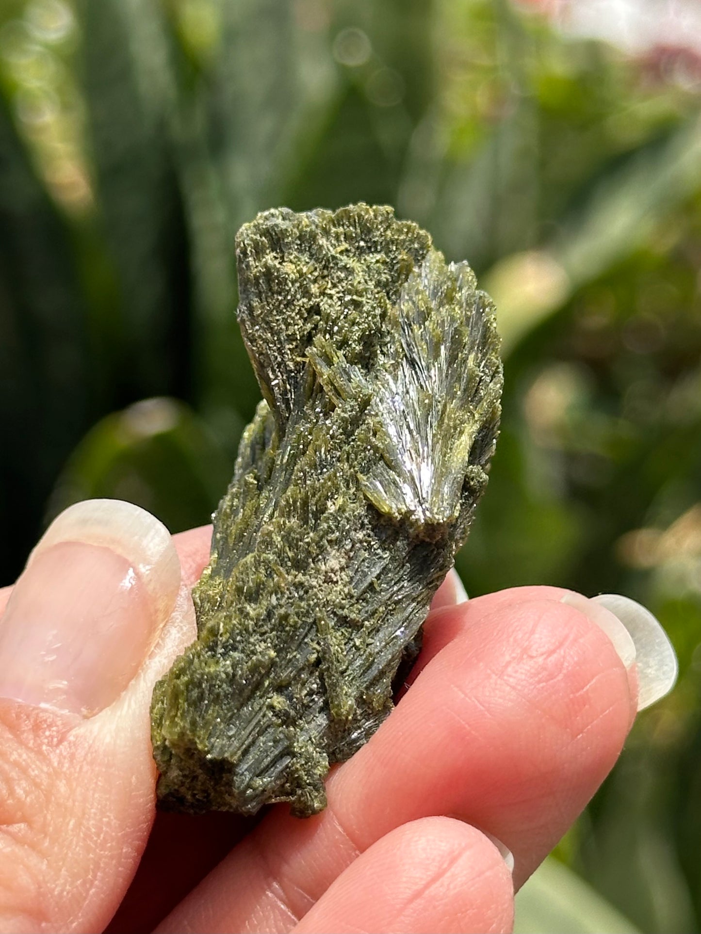 Epidote Fan