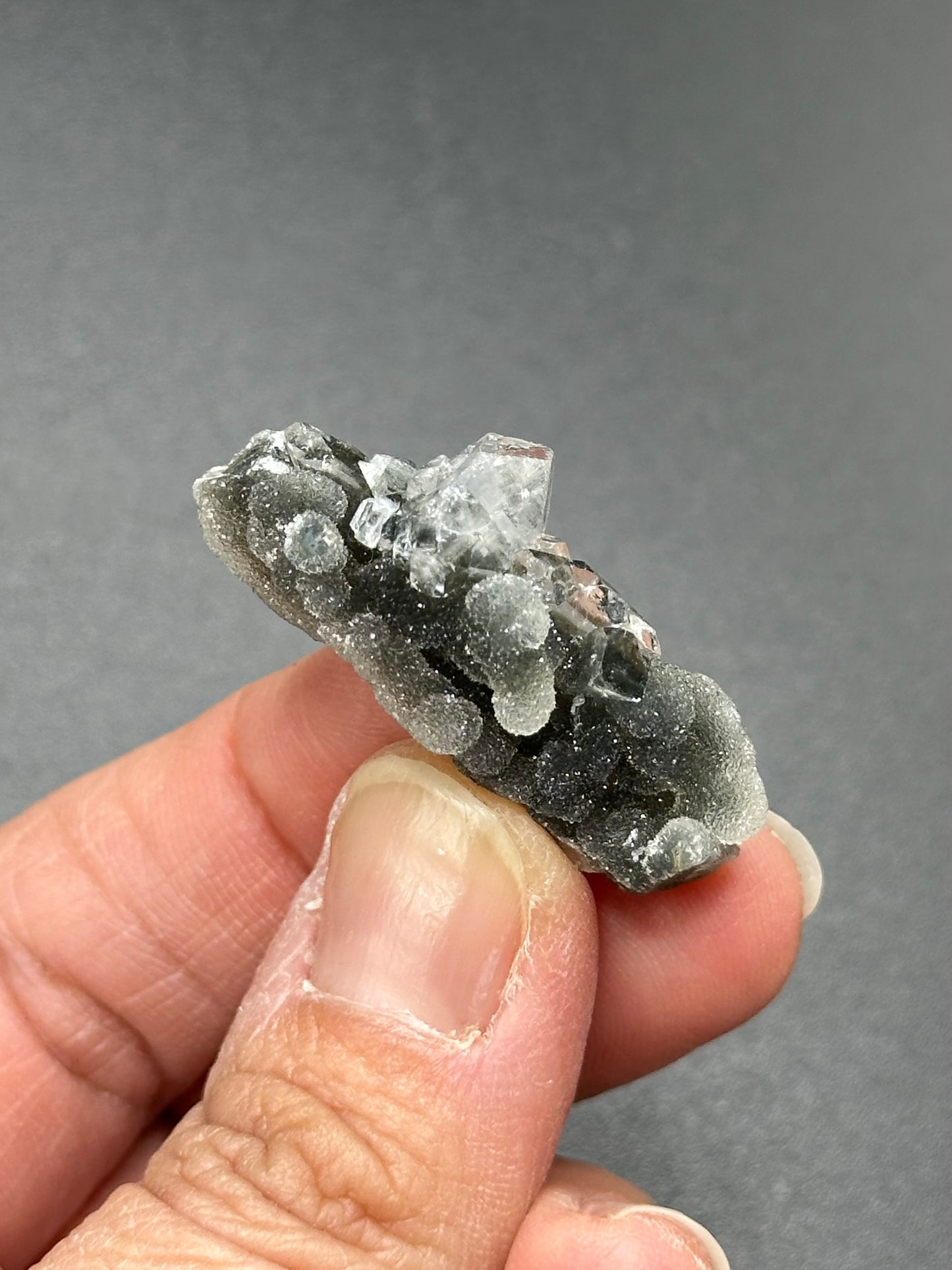 Black Chalcedony with Apophyllite