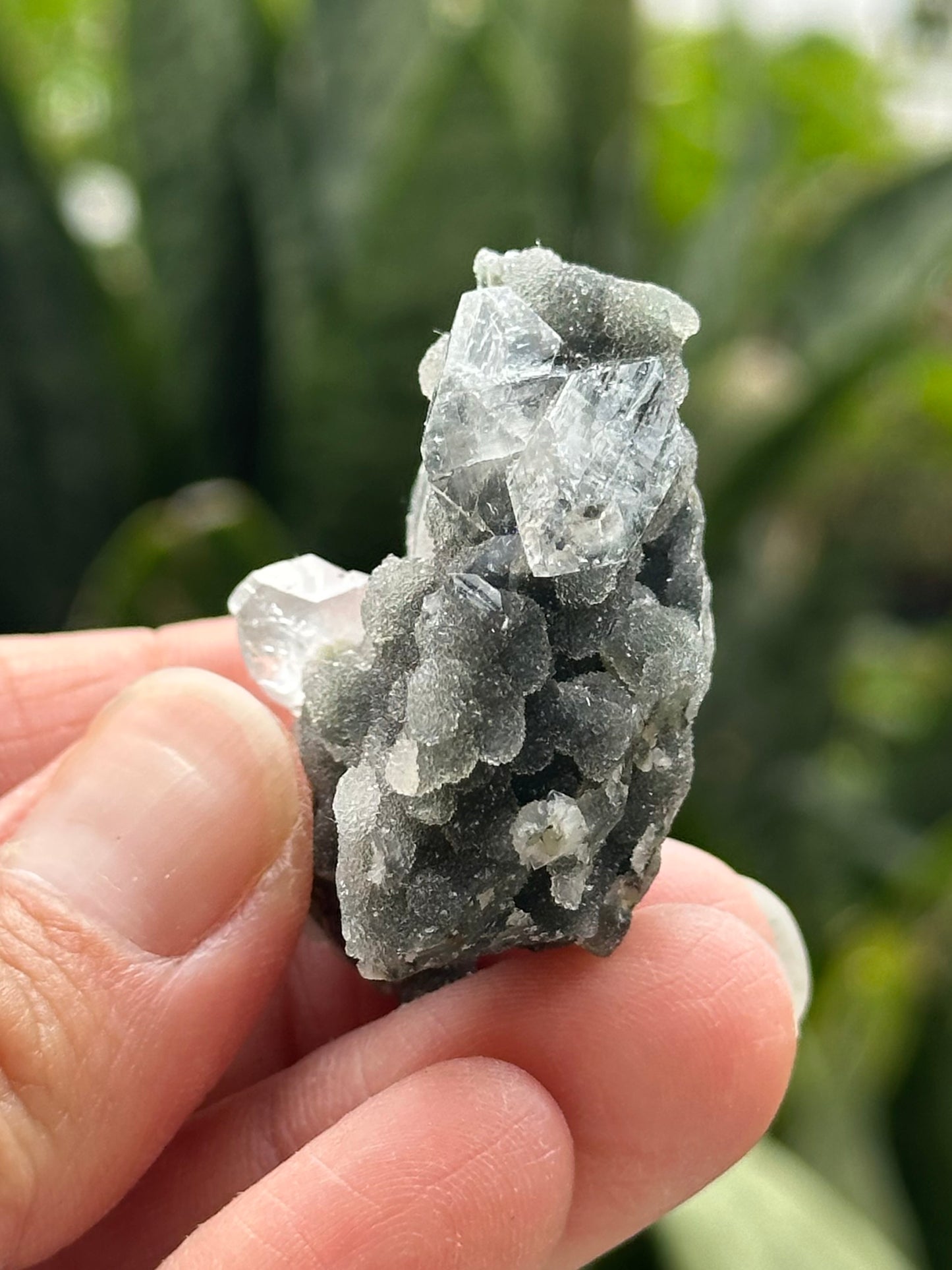 Black Chalcedony with Apophyllite