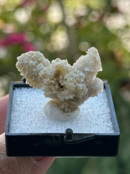 Fluoroaluminate Gypsum in a perky box from Guizhou Dachang, China