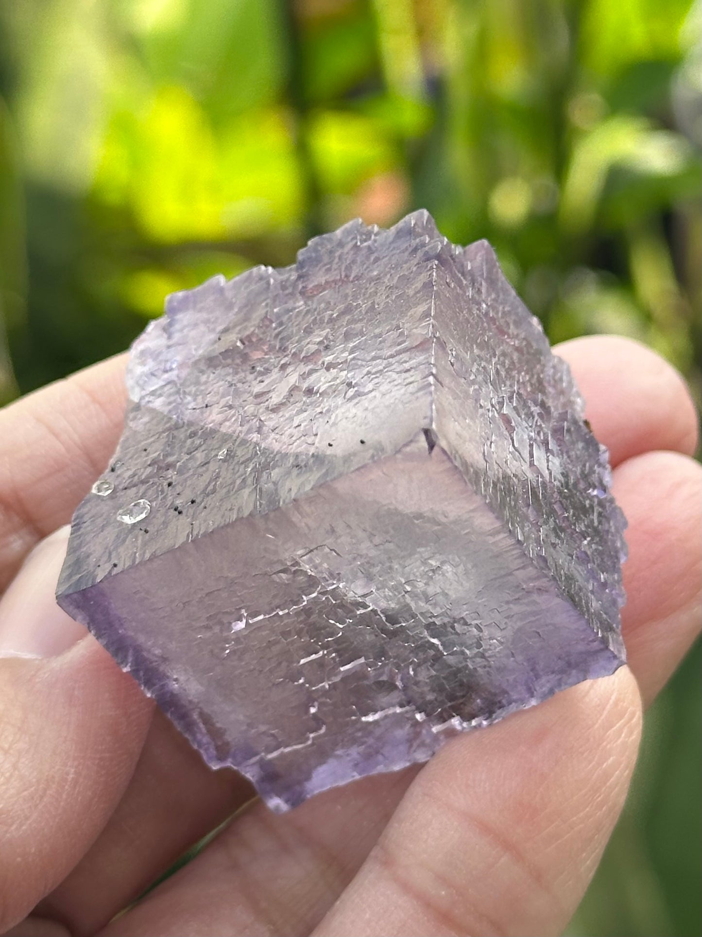 Fluorite Cube from the Elmwood Mine