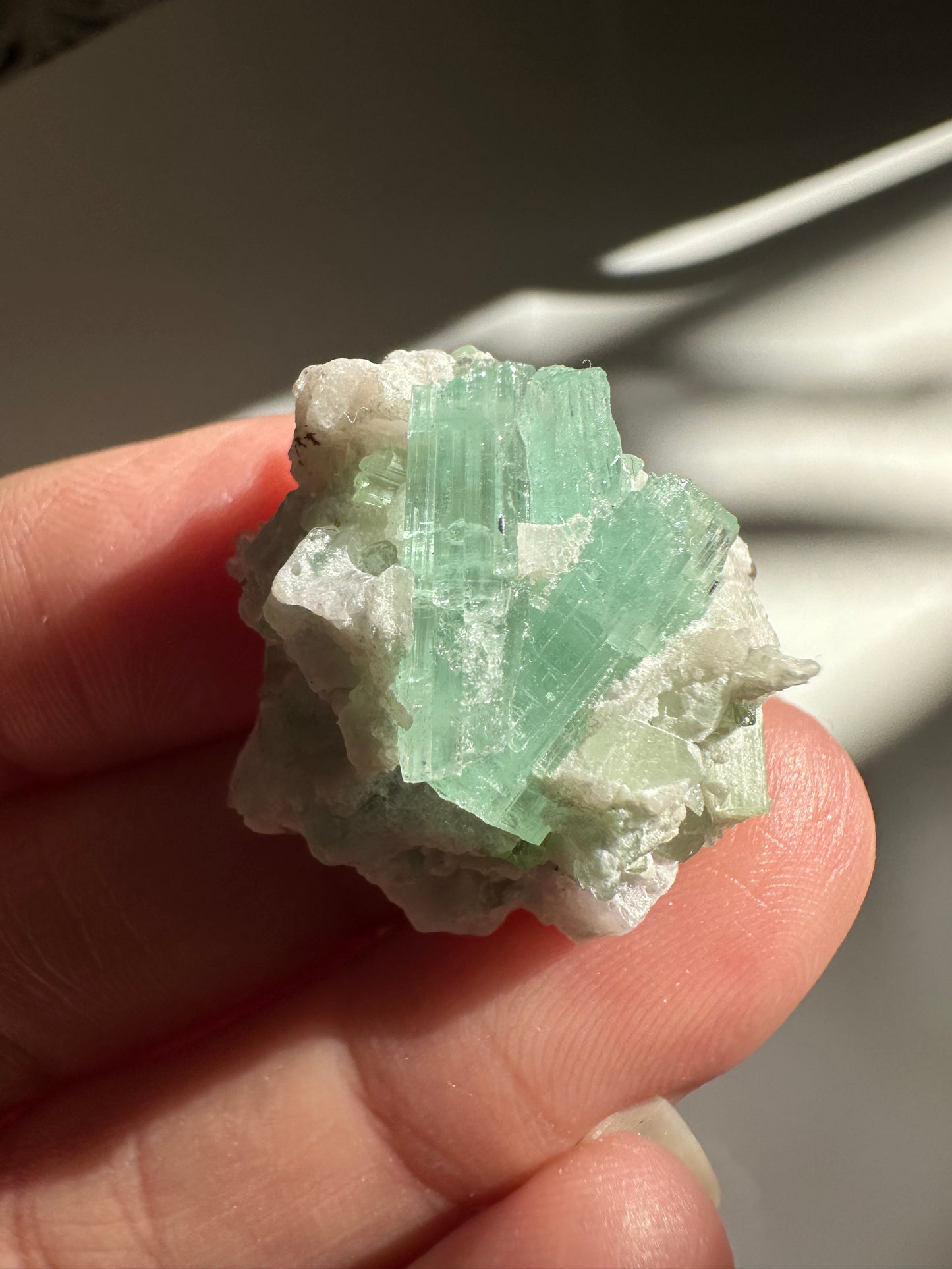 Tourmaline in Quartz