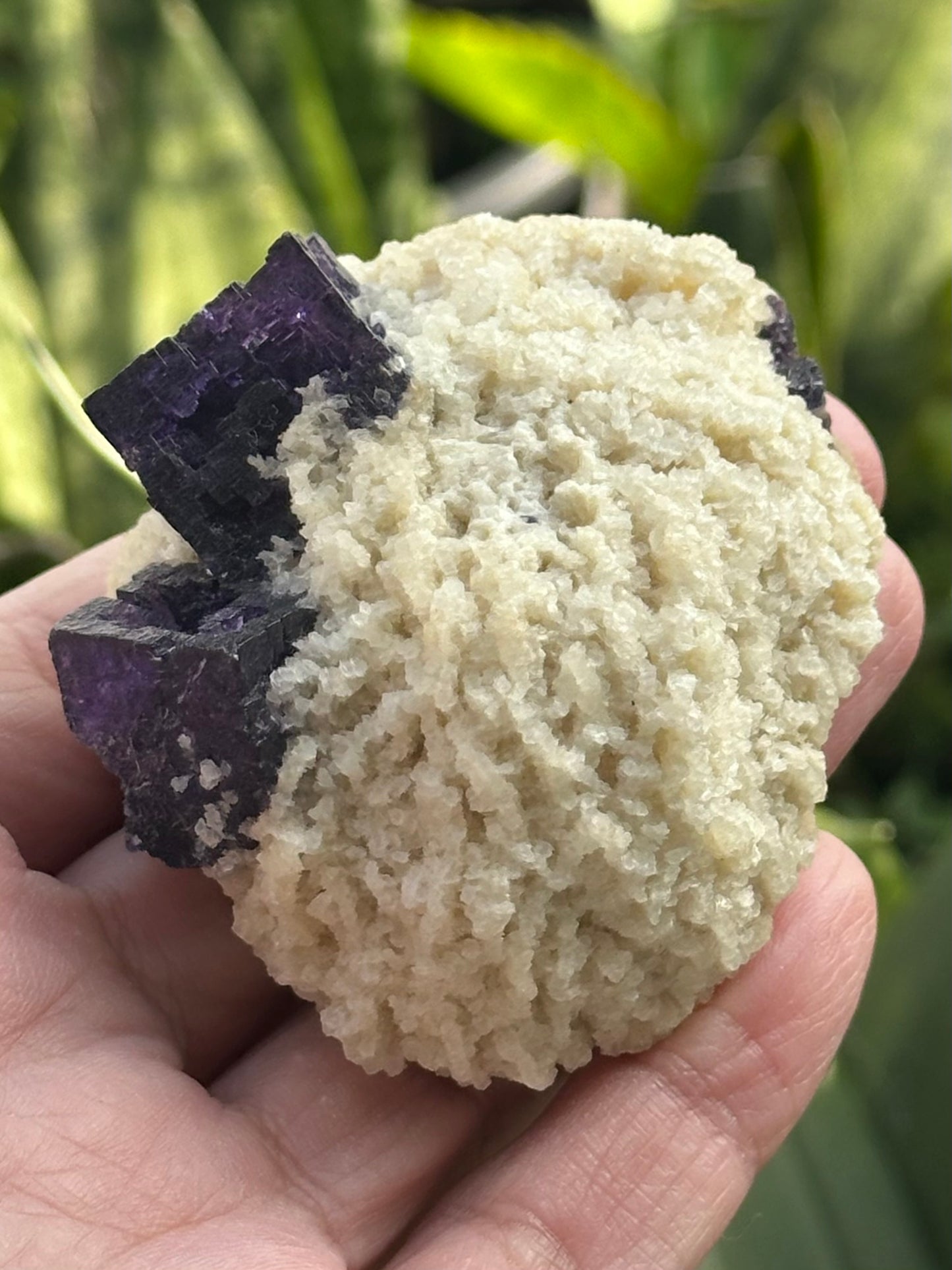 Fluorite and Dolomite from the Elmwood Mine