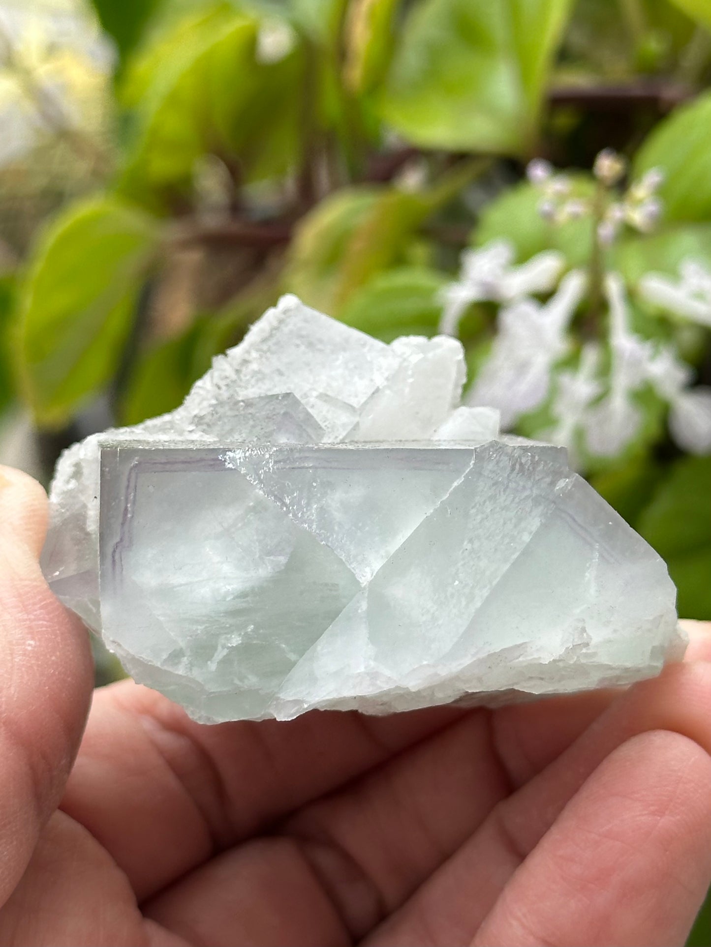Fluorite with Quartz