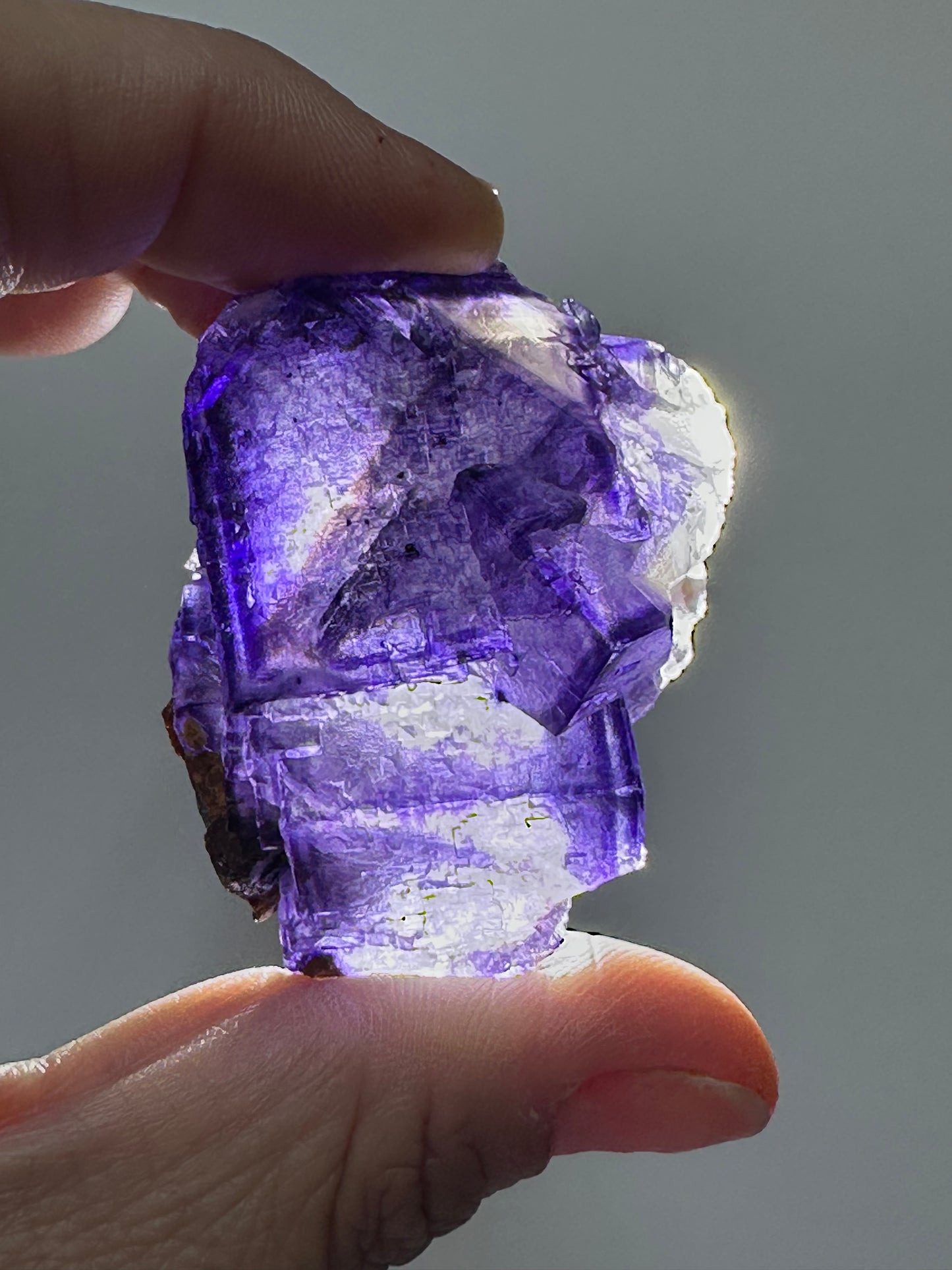 Fluorite with Sphalerite Specimen from the Elmwood Mine