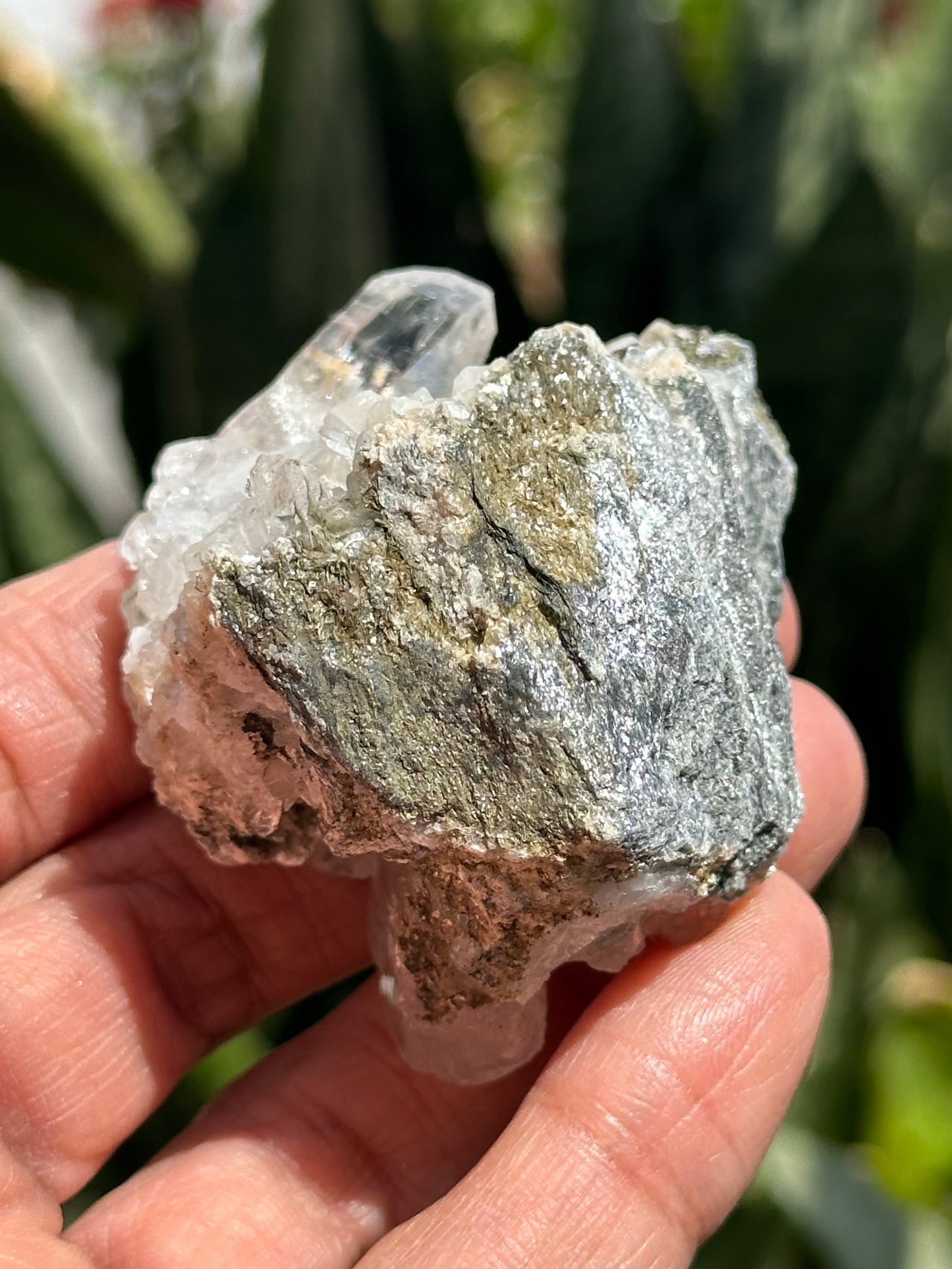 Swiss Quartz with Muscovite Specimen
