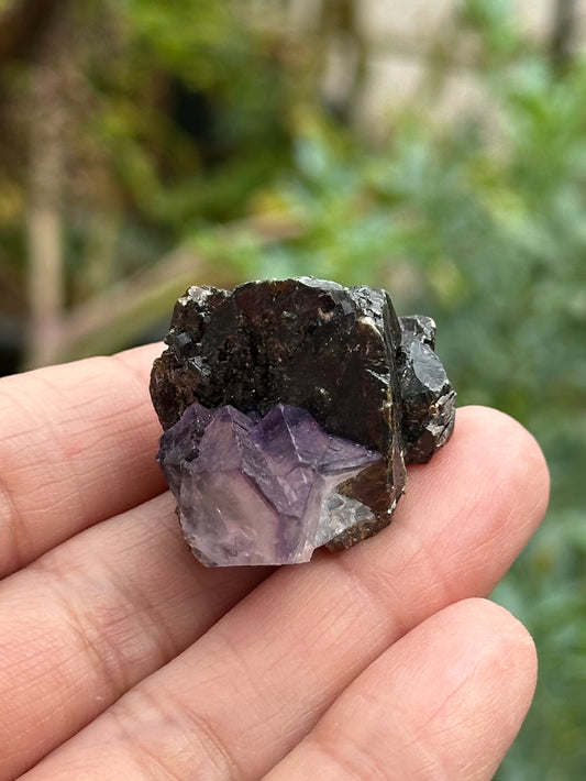 Sphalerite with Fluorite from the Elmwood Mine