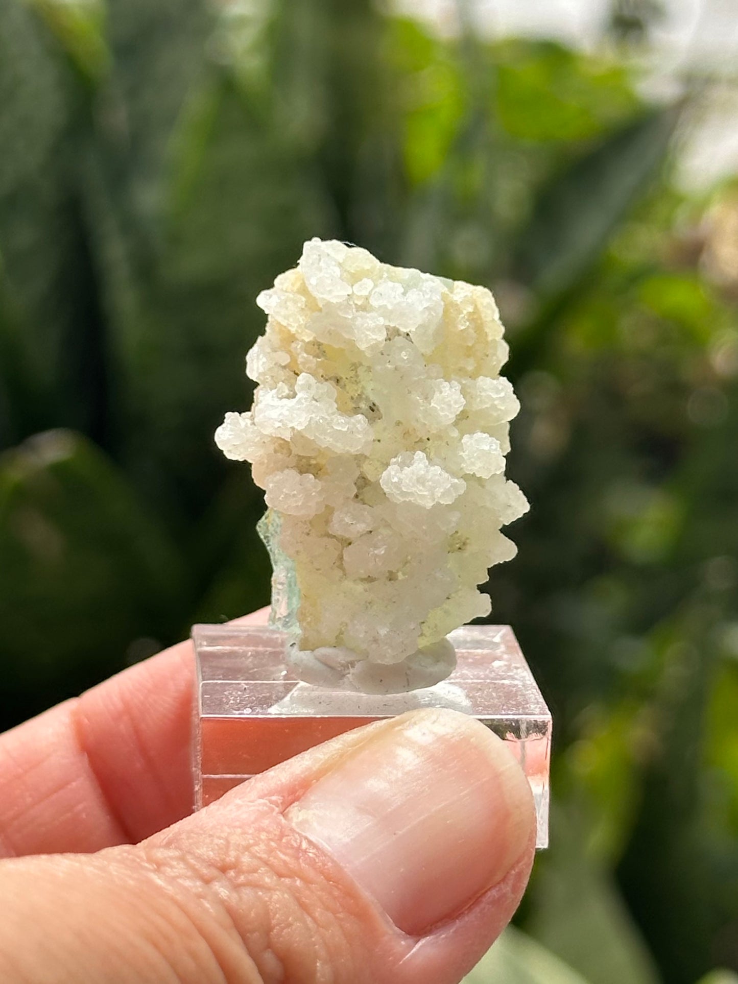 Aquamarine Specimen from Shigar Valley