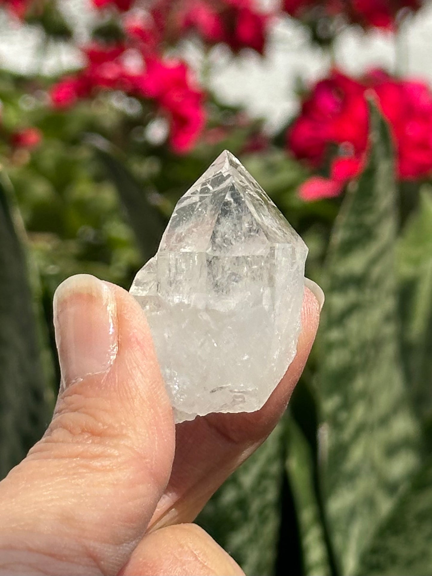 Swiss Quartz Crystal