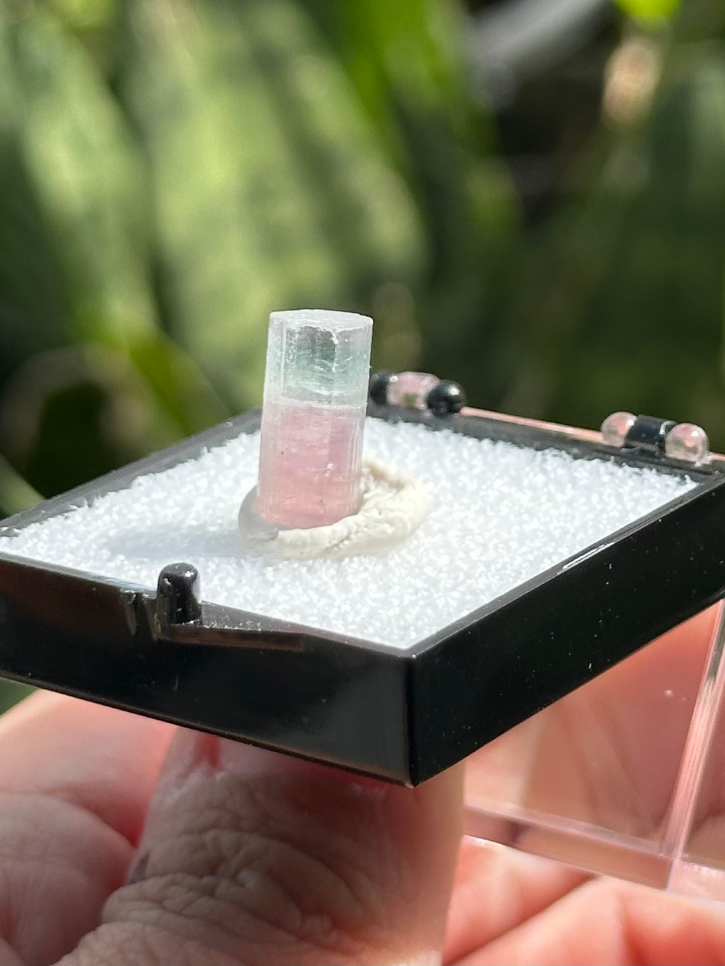 Paprok Tourmaline
