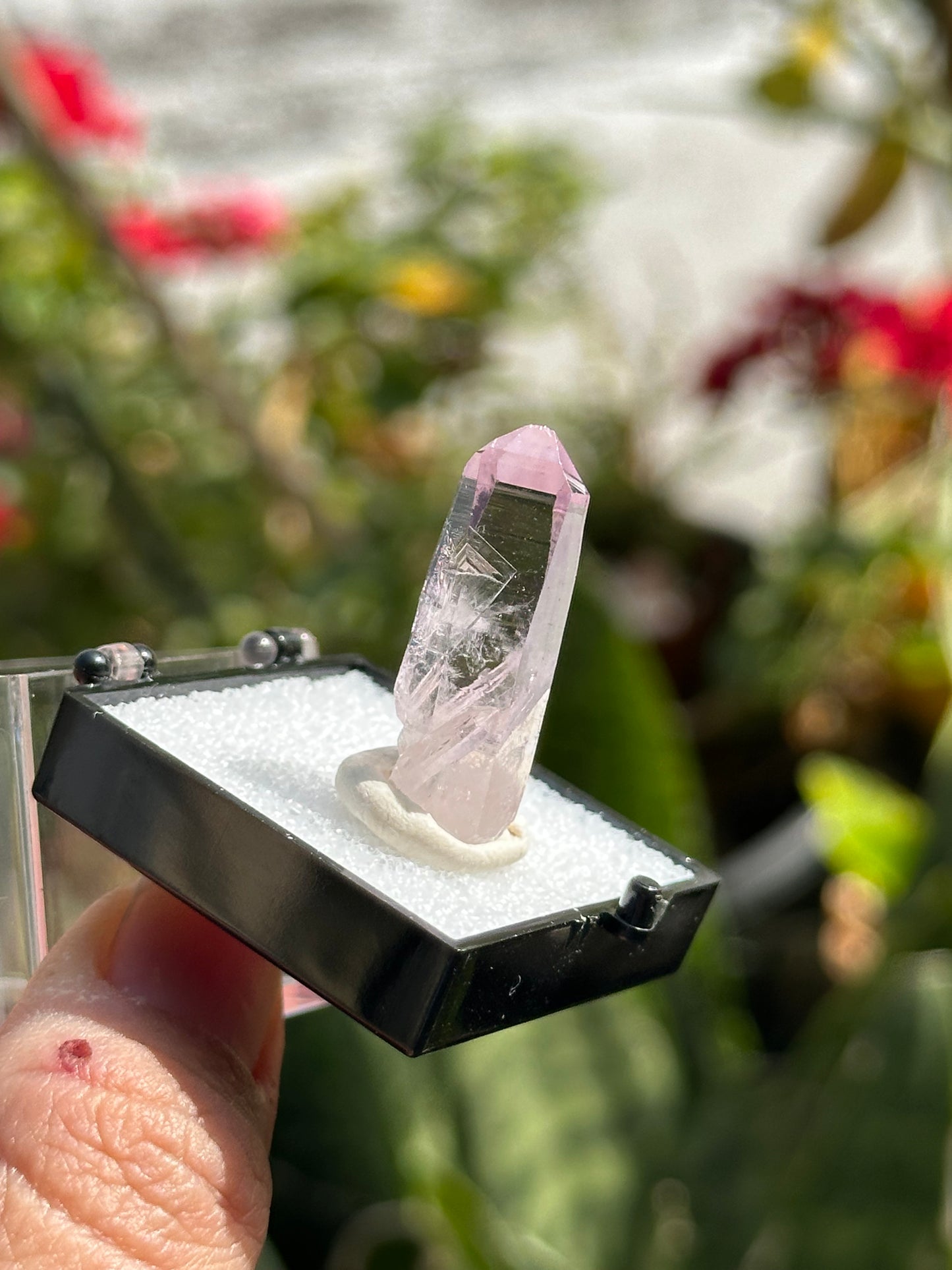 Veracruz Amethyst Crystal