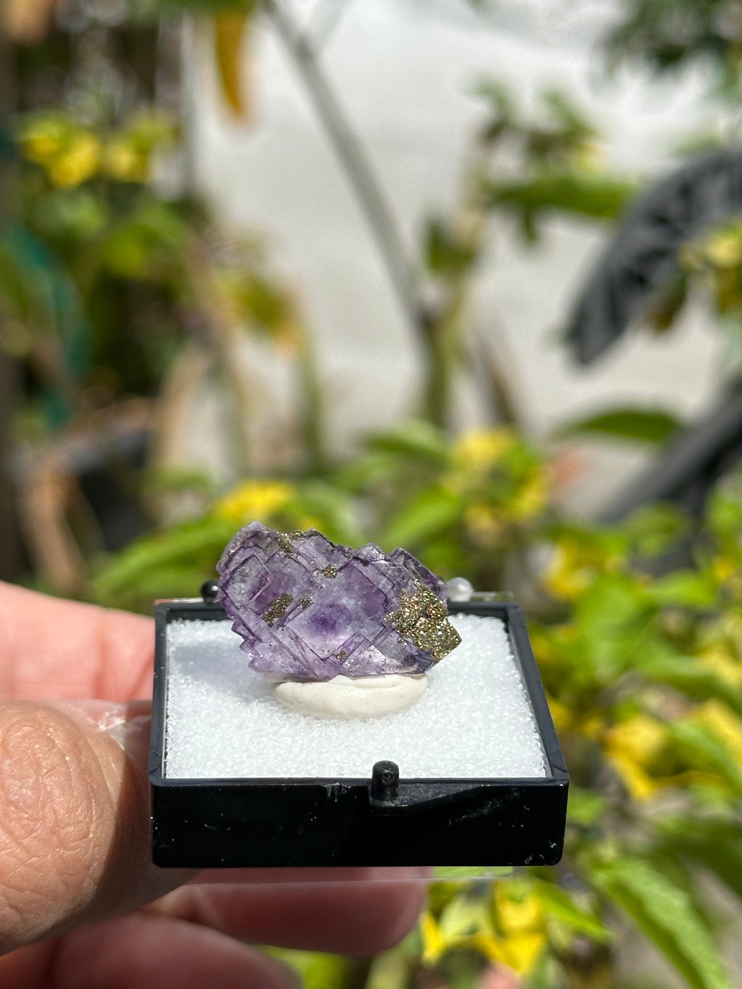YGX Fluorite