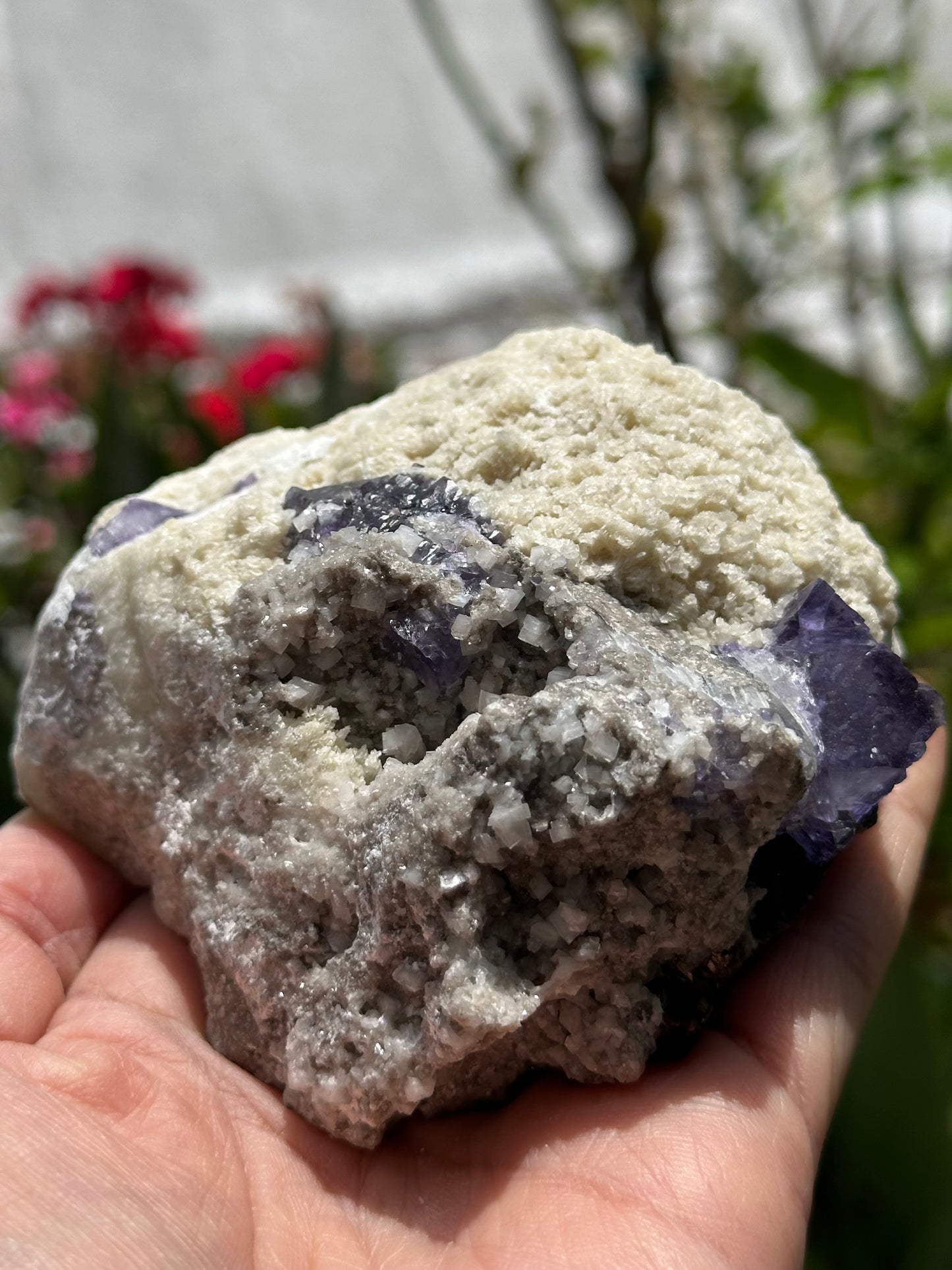 Barite with Fluorite, Dolomite, and Sphalerite Specimen from the Elmwood Mine