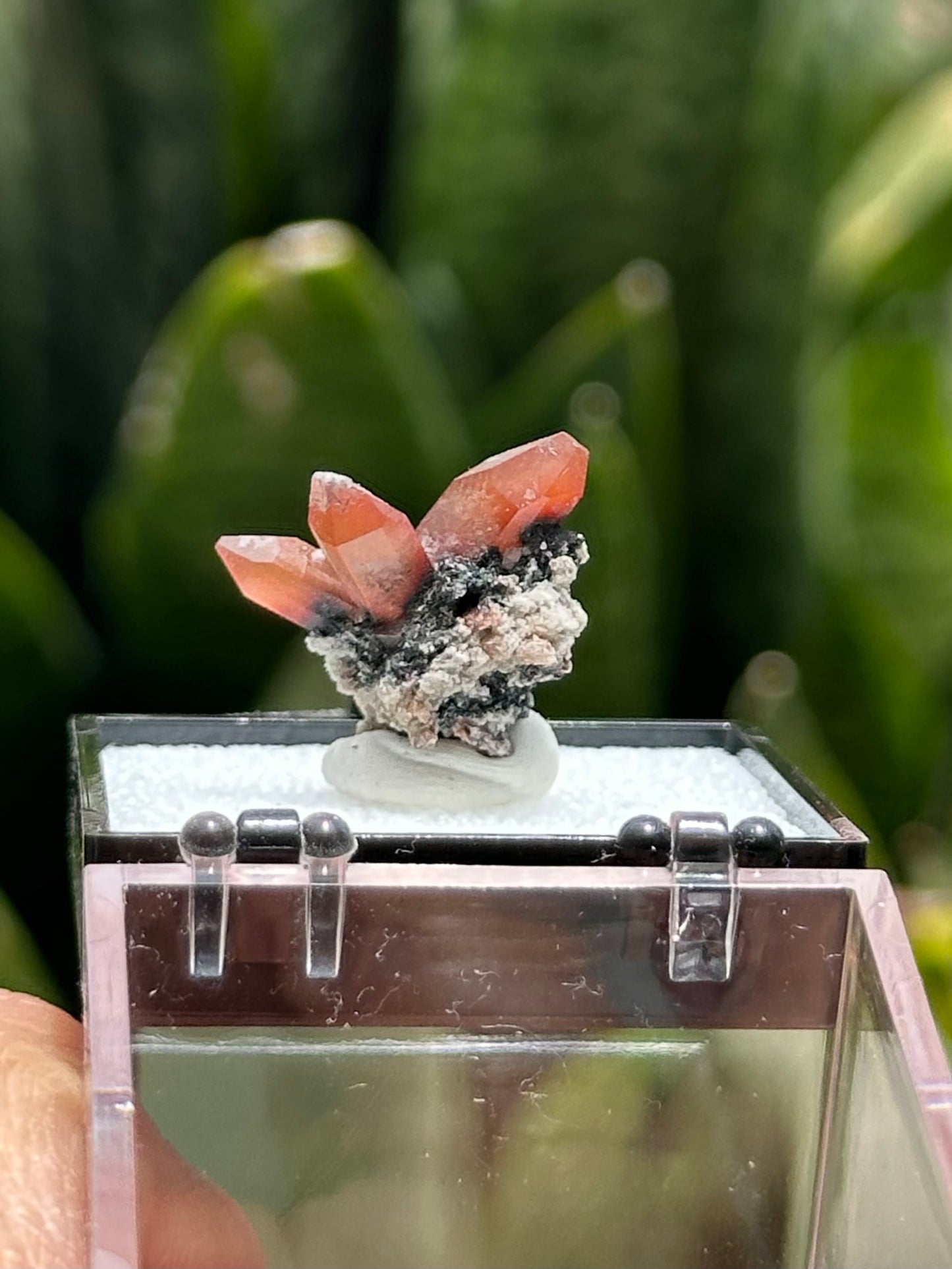 Topaz from Mexico