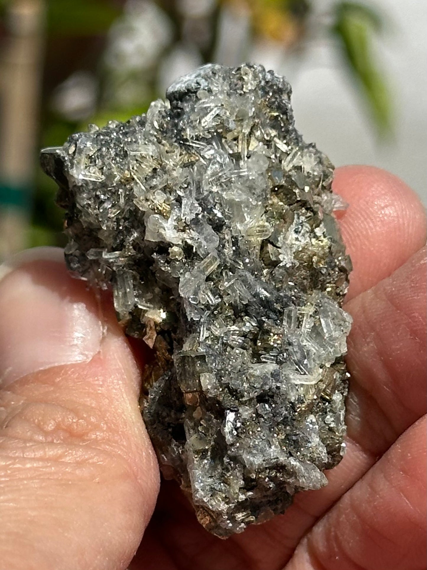 Pyrite and Quartz