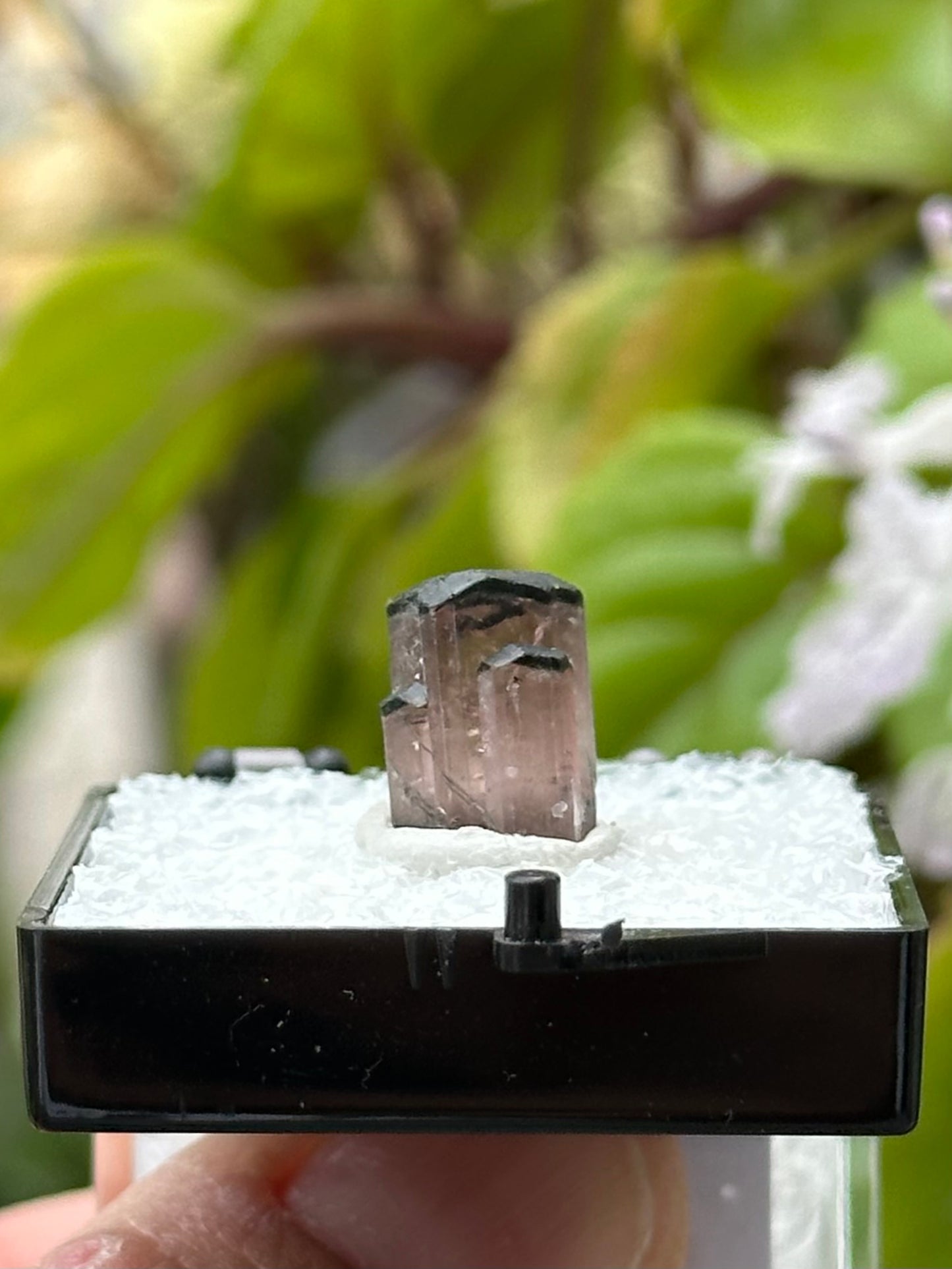 Tourmaline Specimen from Afghanistan
