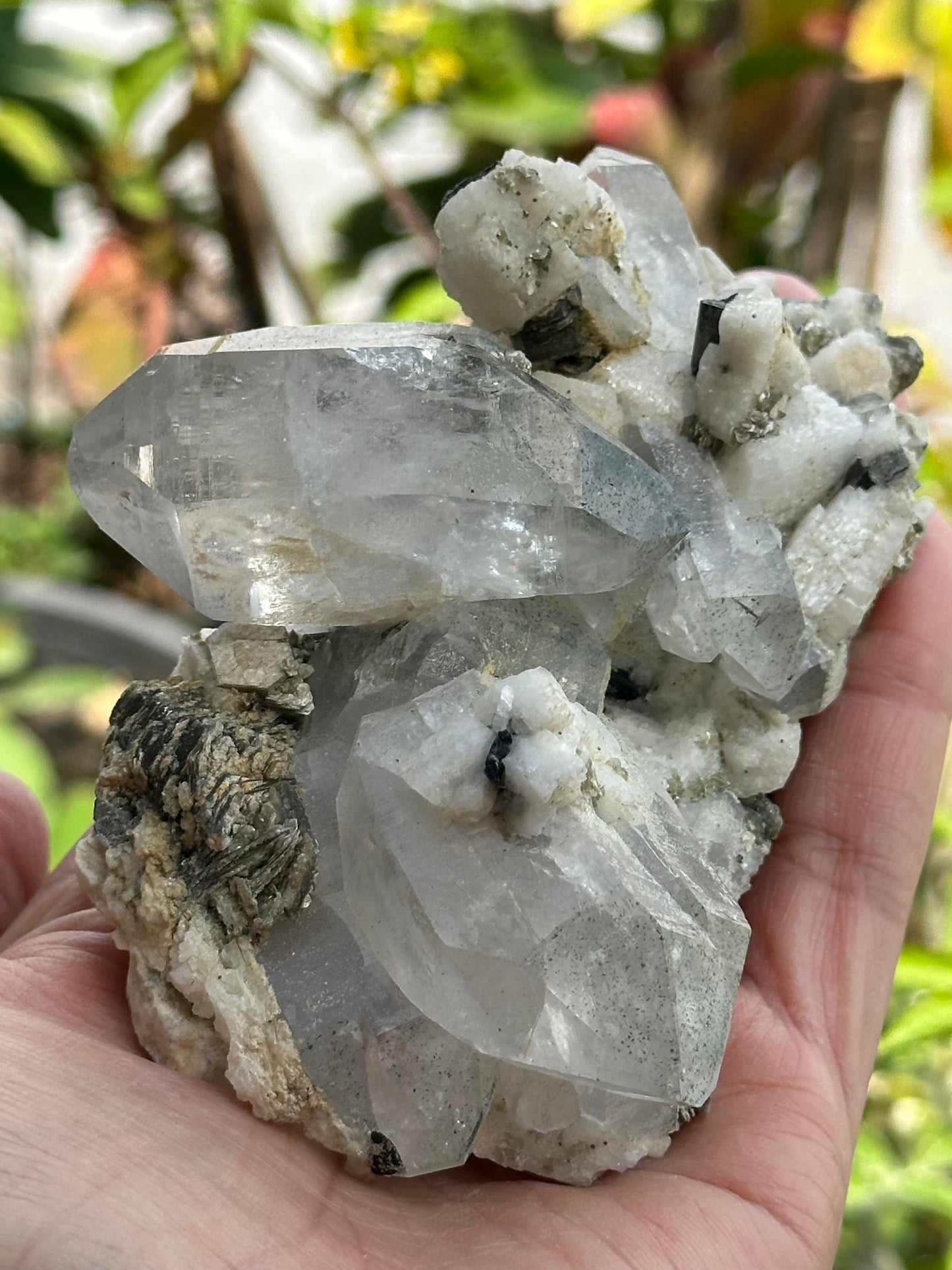 Quartz, Schorl, Albite, and Mica Specimen