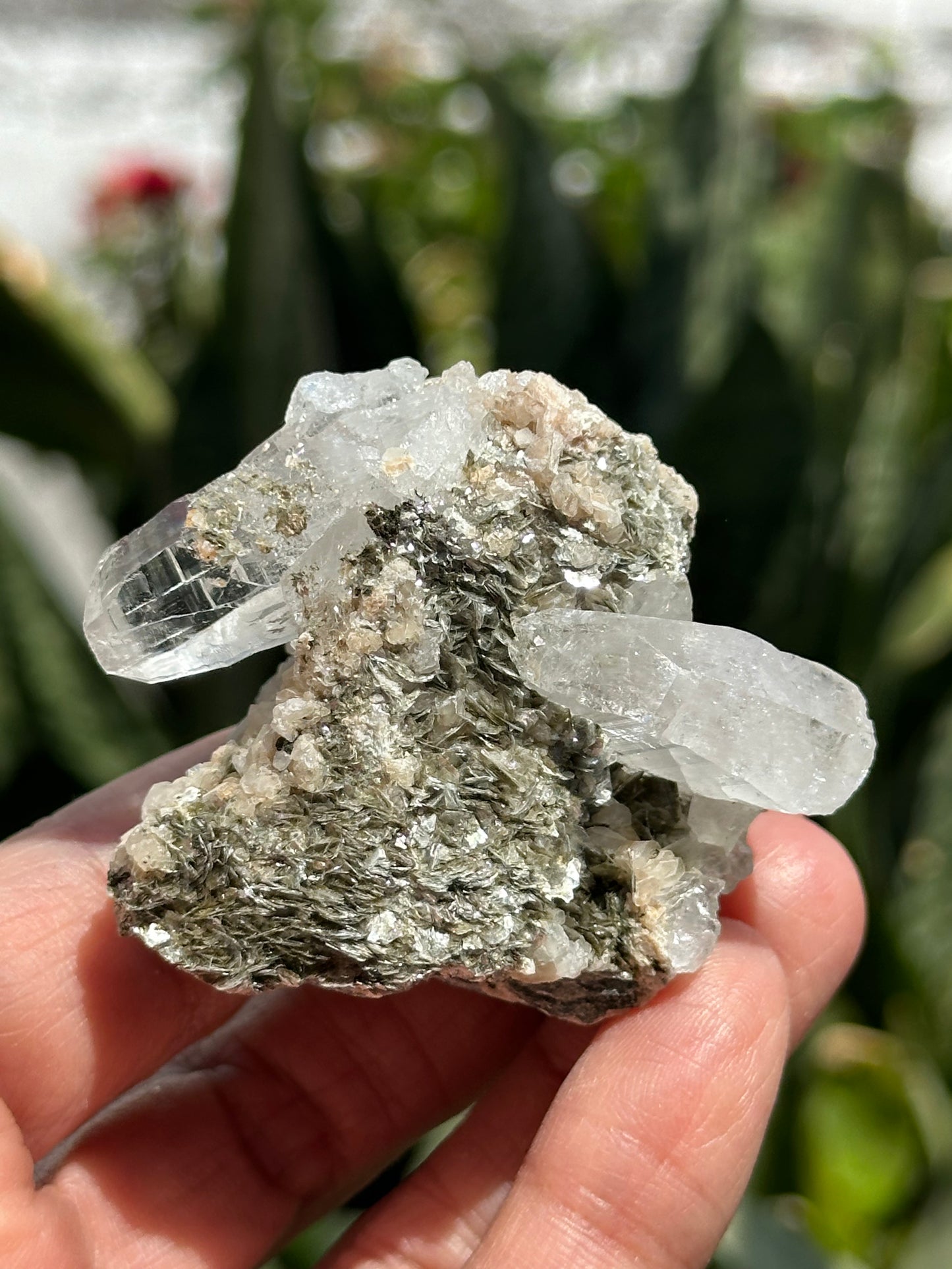 Swiss Quartz with Muscovite Specimen
