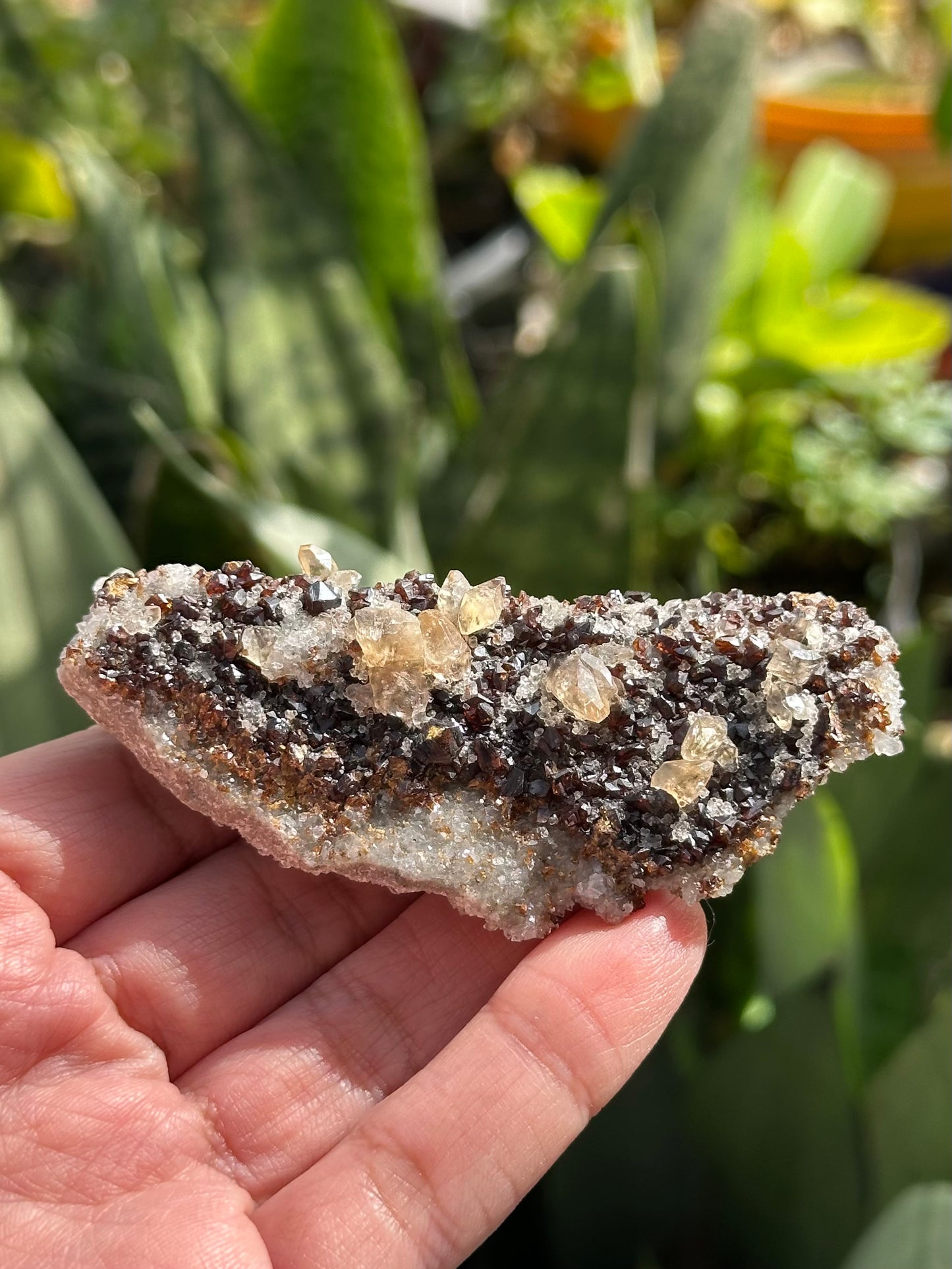 Calcite with Sphalerite and Dolomite from the Elmwood Mine